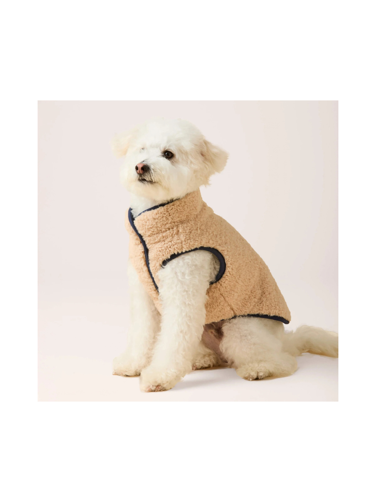 Navy Sherpa-Lined Reversible Dog Jacket