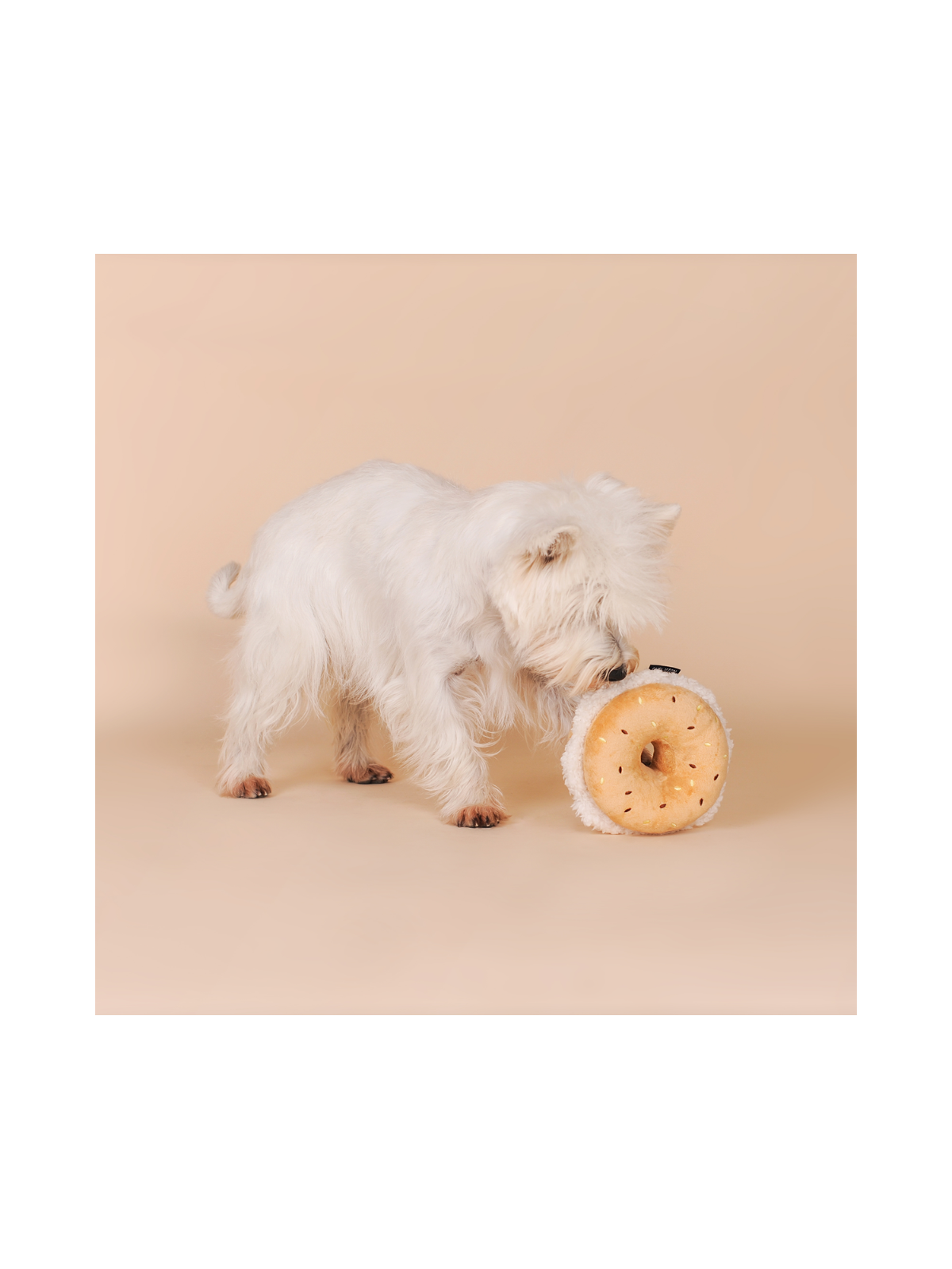 Bagel Plush Dog Toy
