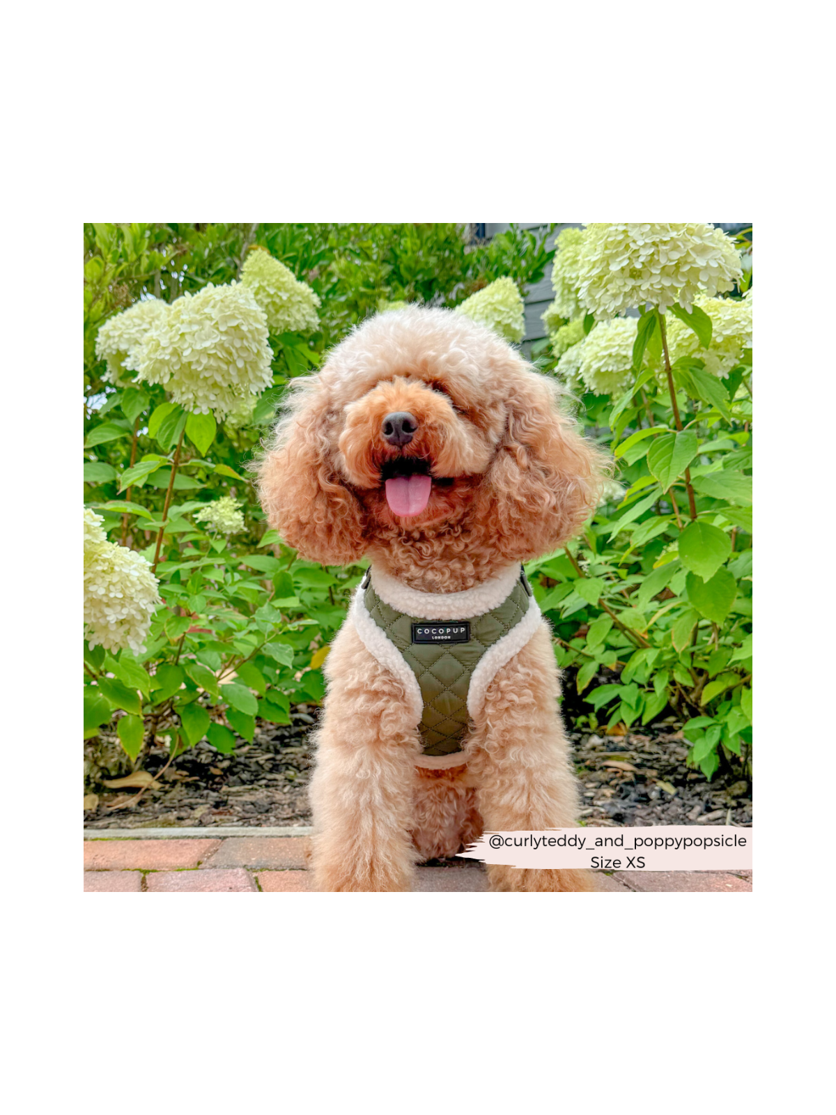 Quilted Adjustable Neck Harness – Khaki