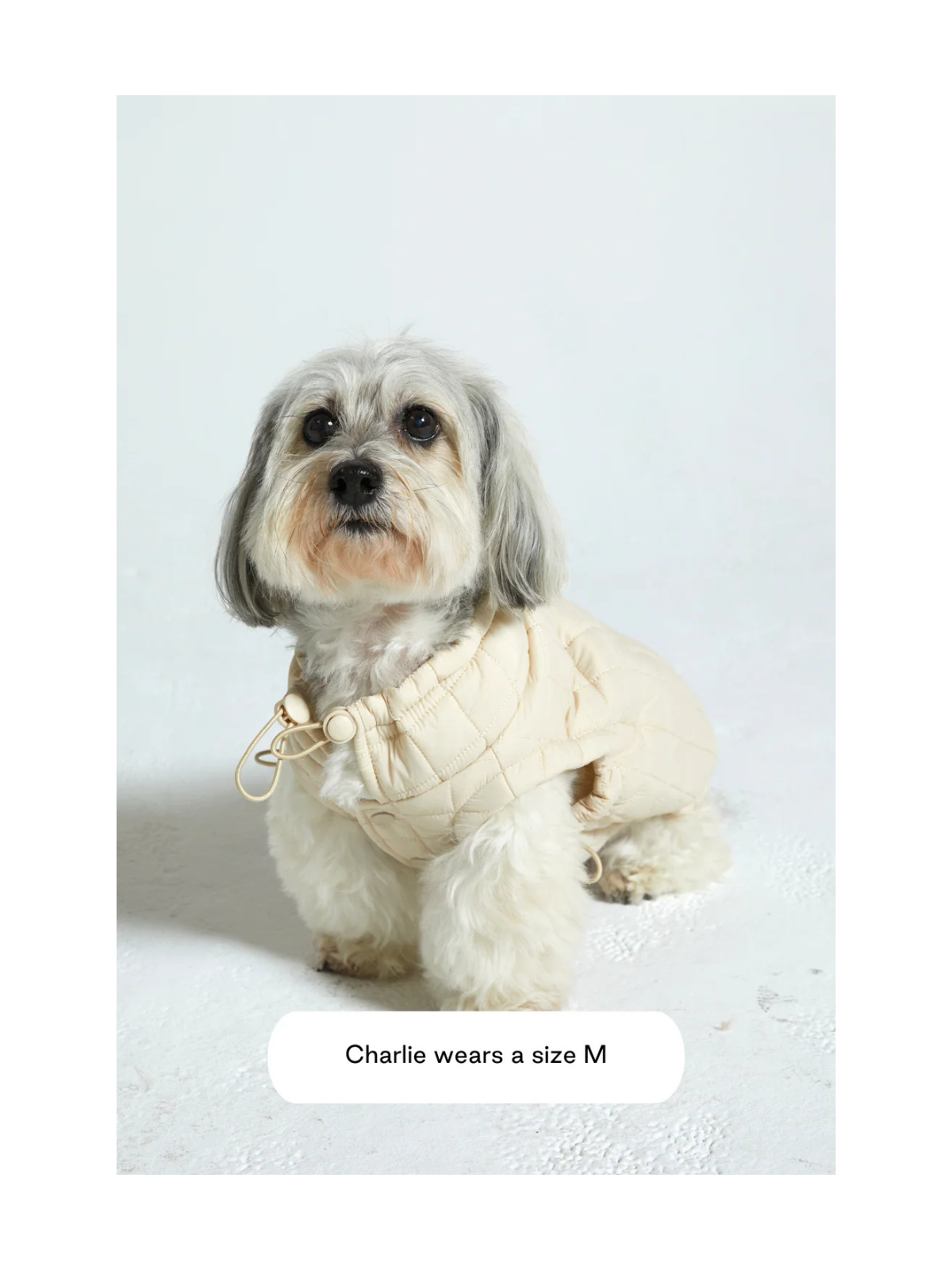 Easy Fit Dog Jacket – Sand