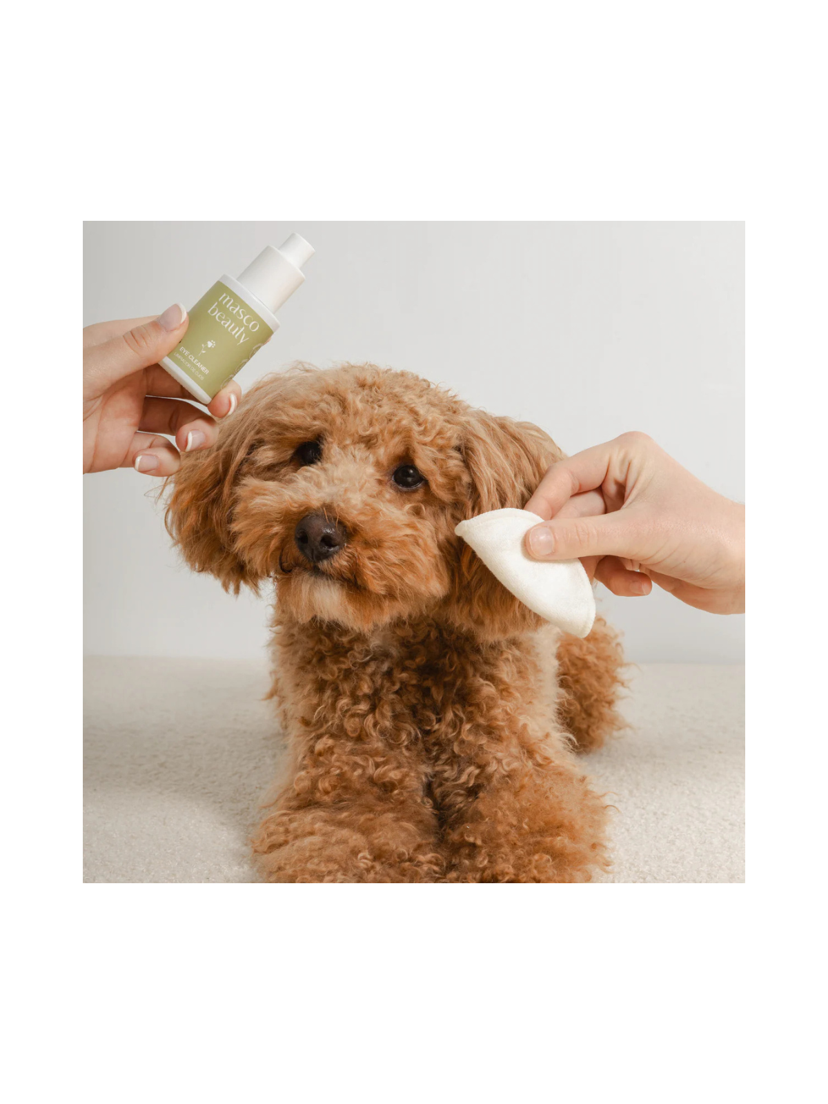 Eyes Cleaner and Tear Zone