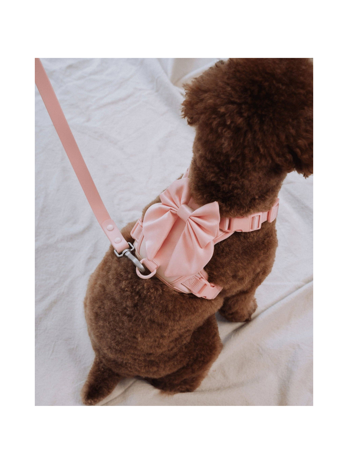 Wander! Bow Harness 2.0 – Blossom Pink