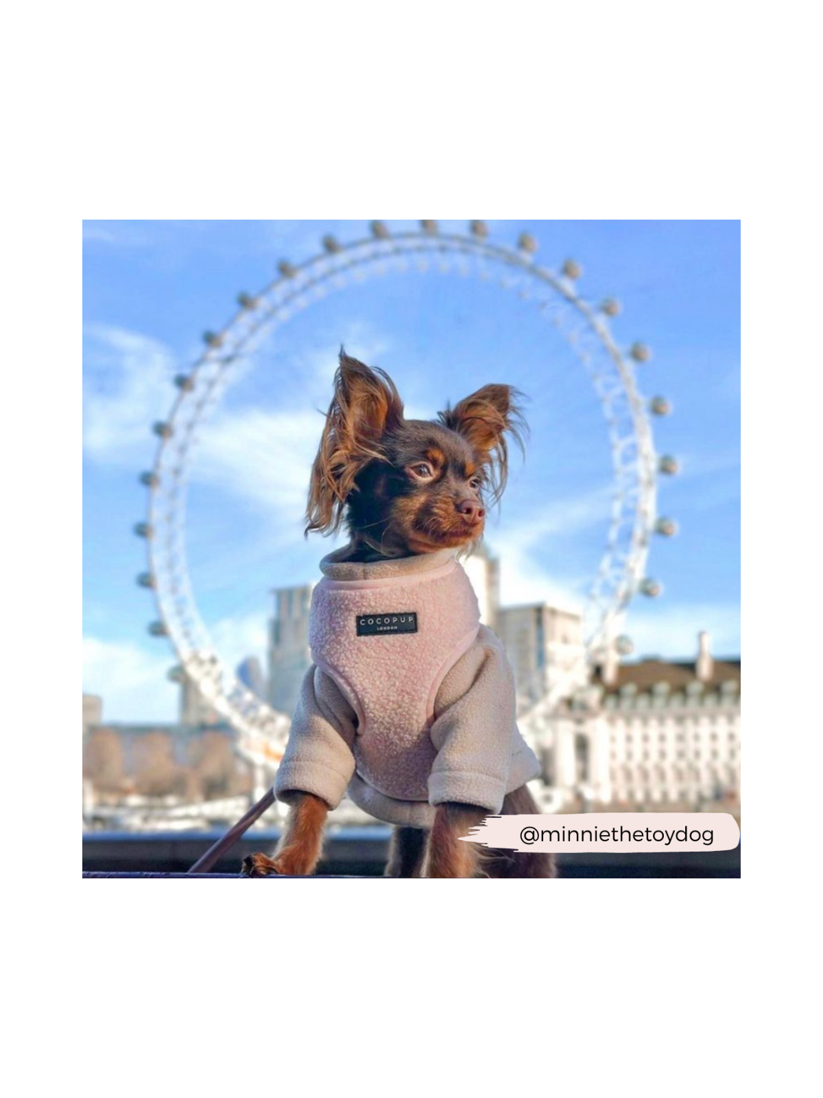 Teddy Adjustable Neck Harness – Love-A-Lot Pink