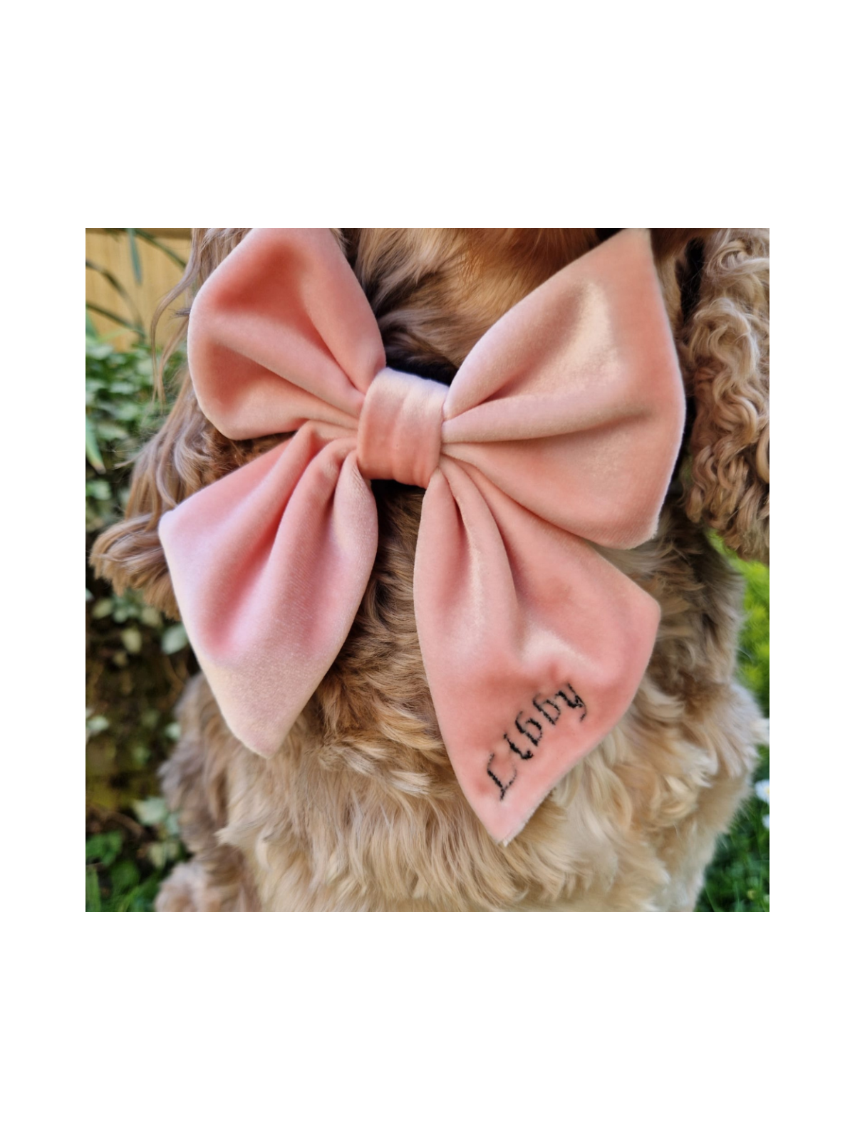 Luxe Velvet Sailor Dog Bow Tie - Baby Pink
