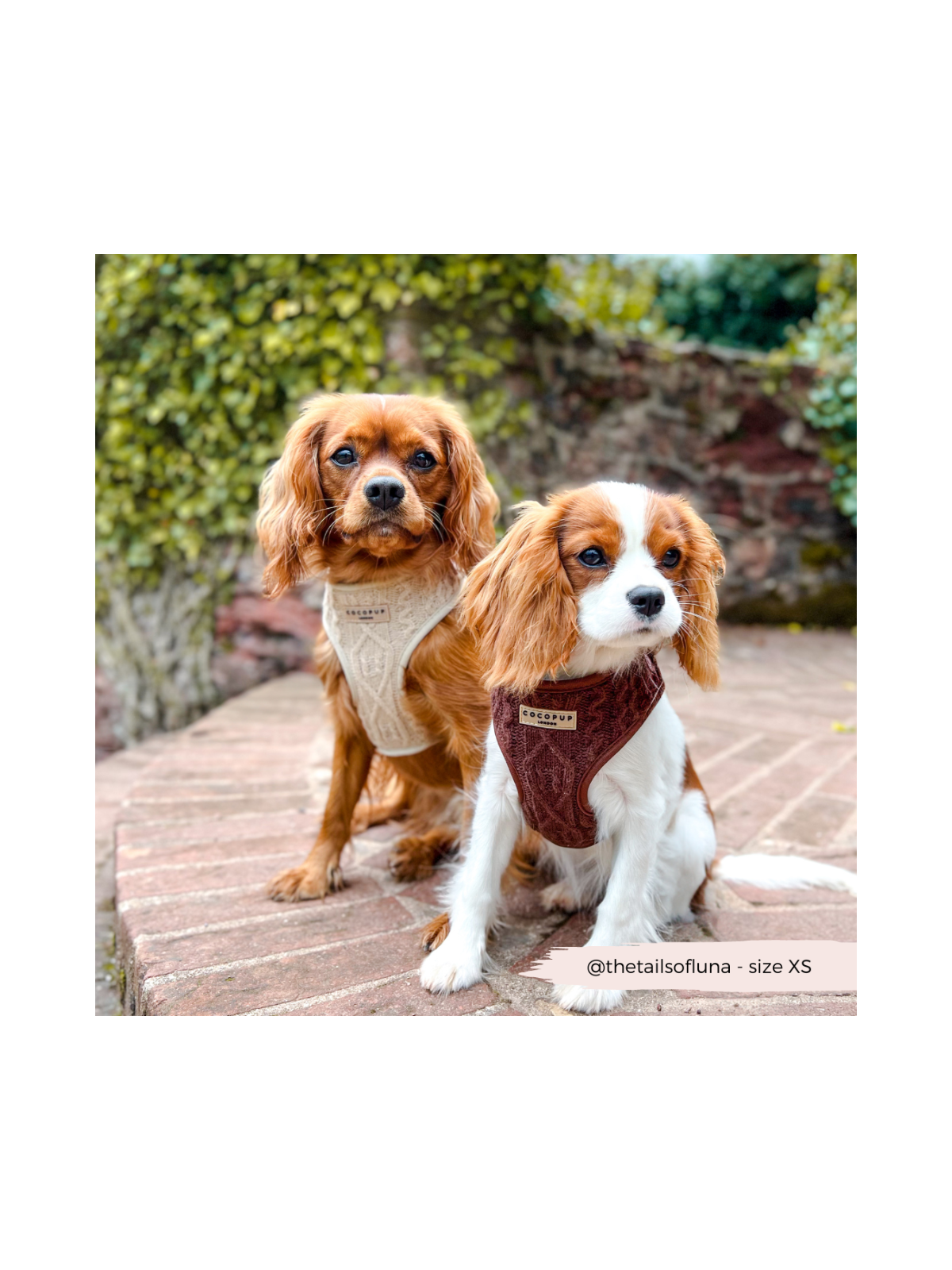 Cable Knit Jumper Adjustable Neck Harness - Hot Coco Brown