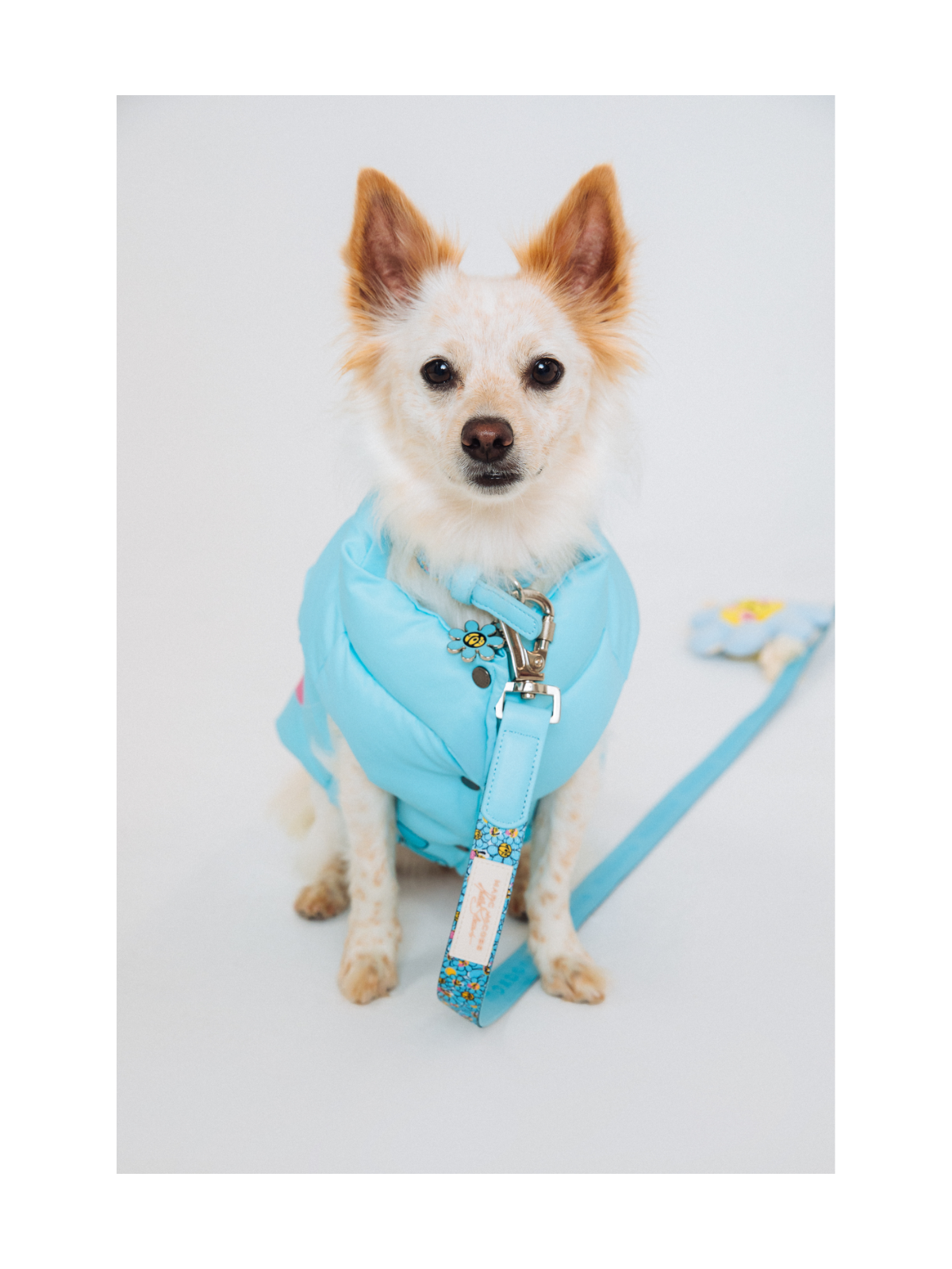 Marc Jacobs x Hattie Stewart Blue Puffer Dog Vest – Arabella Limited Edition