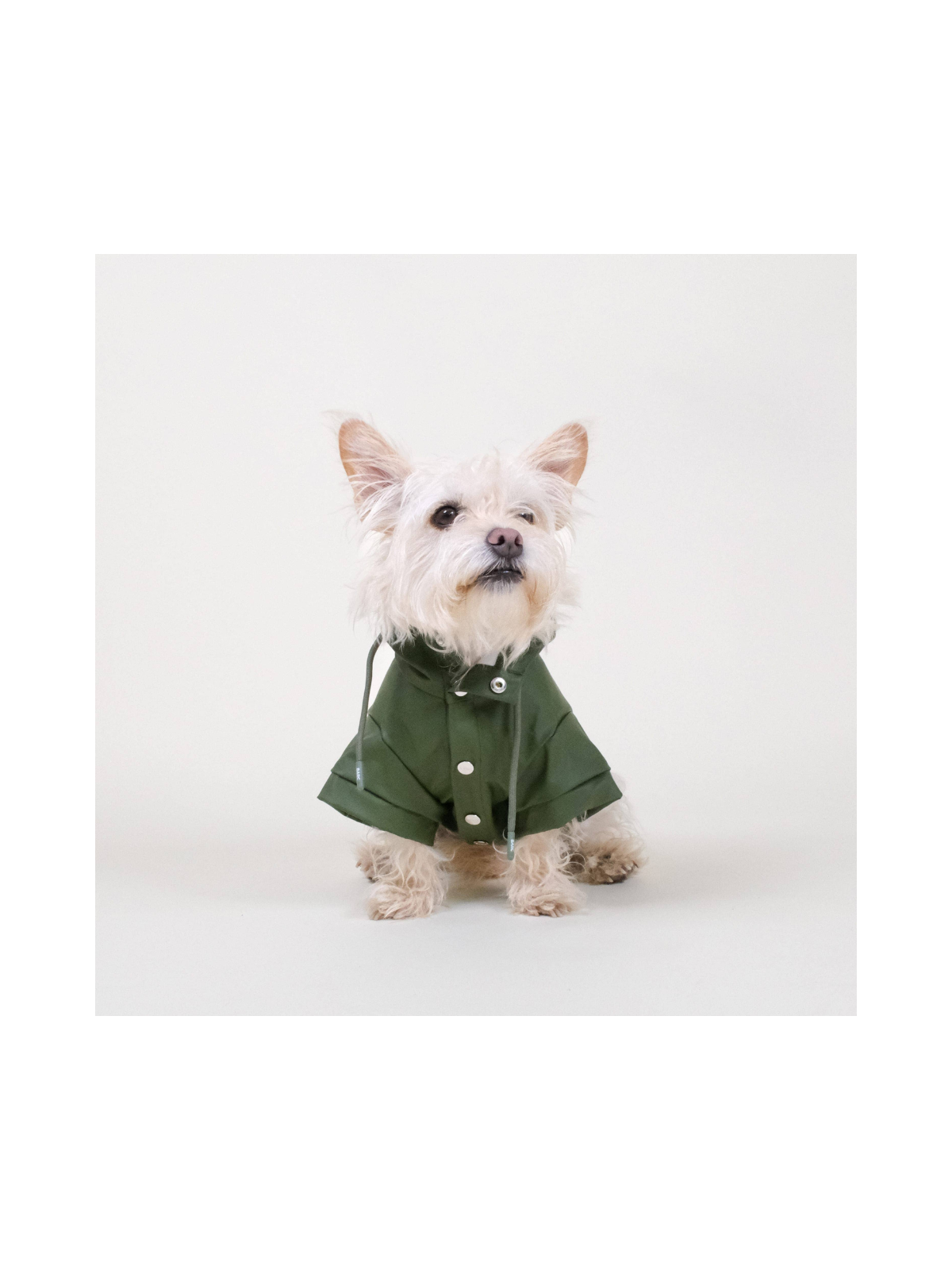 Waterproof Recycled Dog Raincoat - Green