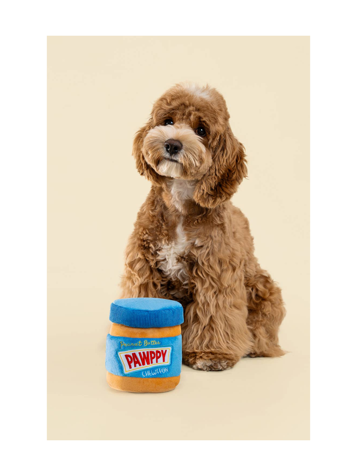 Peanut Butter Enrichment Puzzle