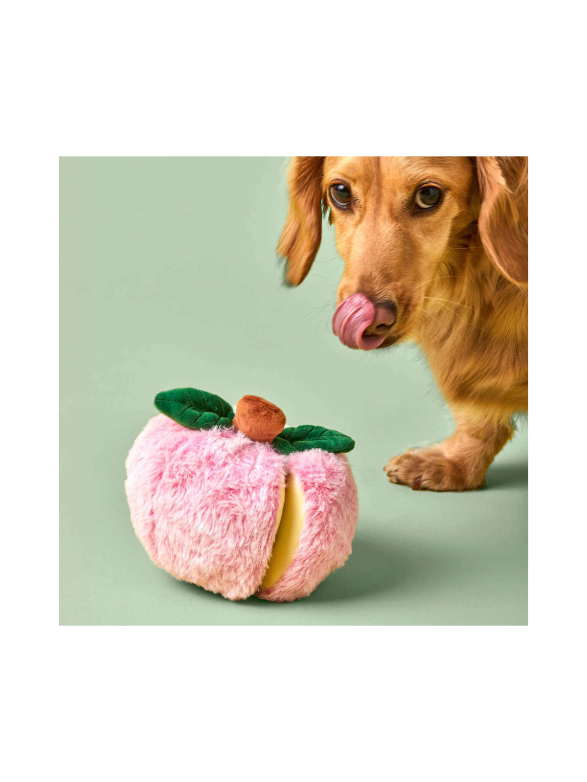 Apple Interactive Snuffle Dog Toy