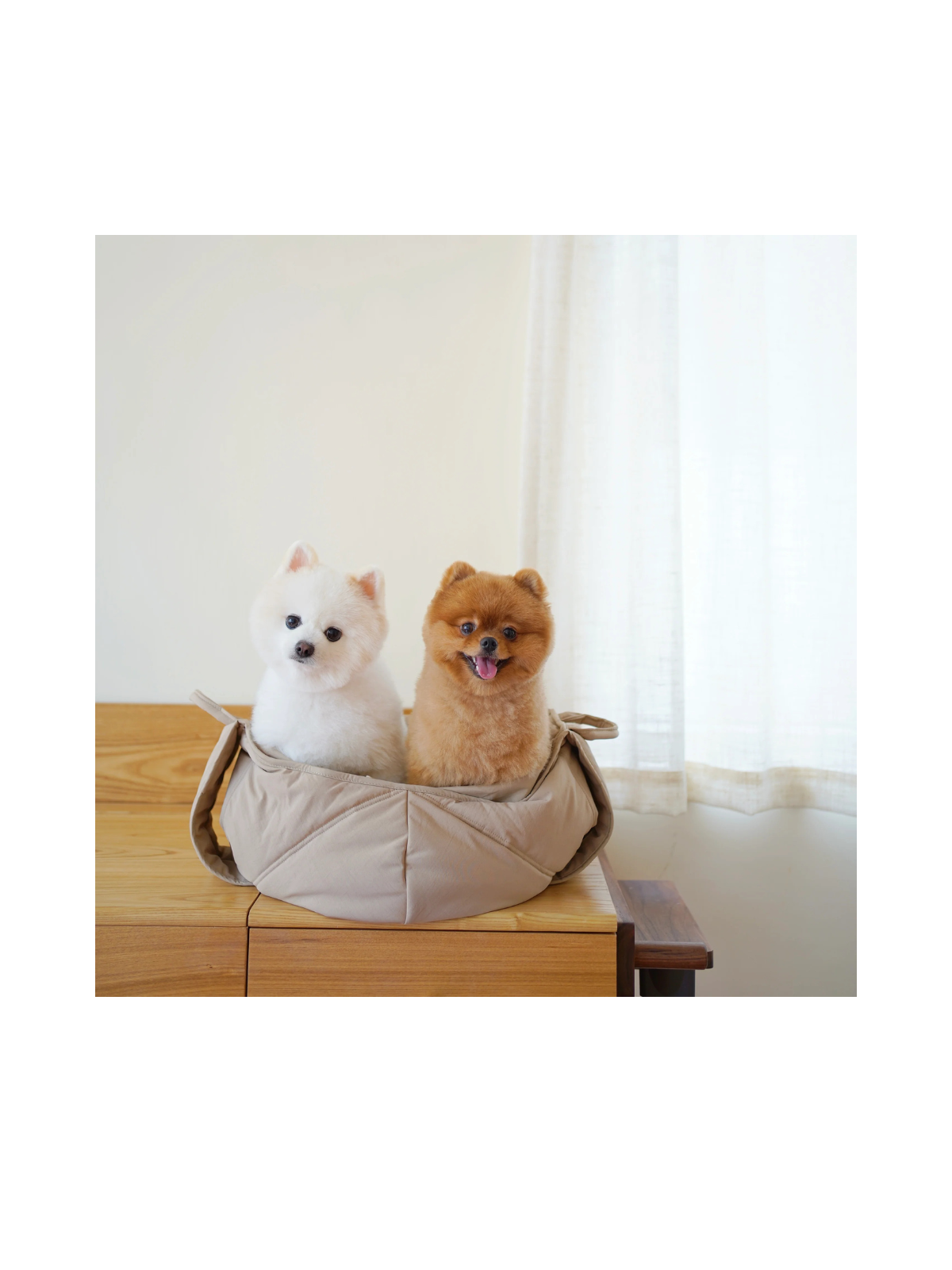 OLLA Petite Pet Carrycot – Camel