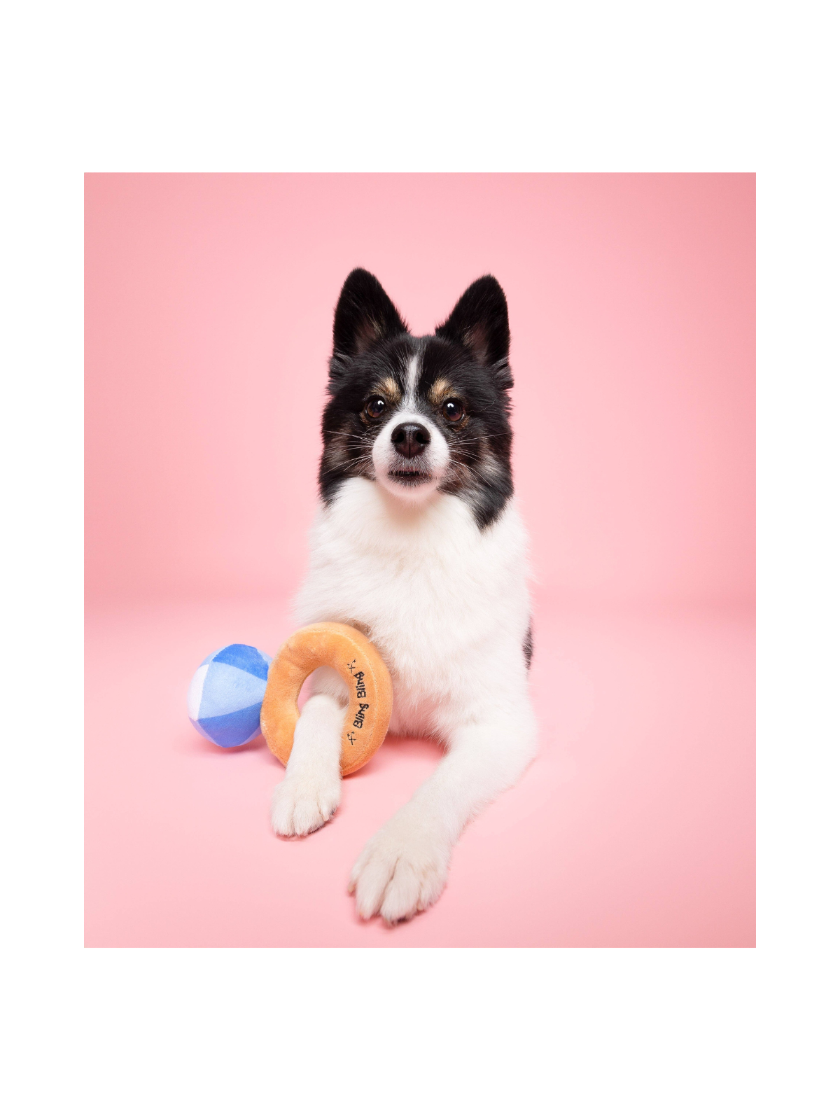 Bling Bling Diamond Ring Dog Toy