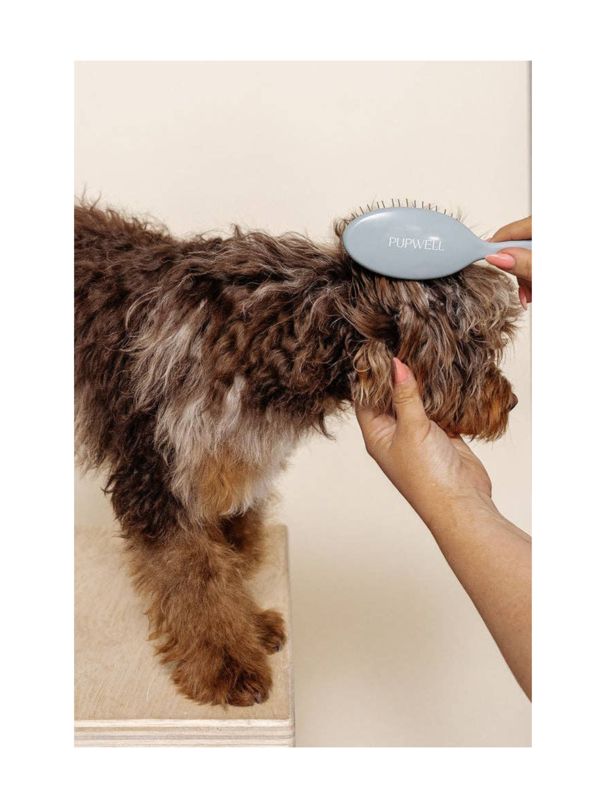 Gentle Detangling Brush