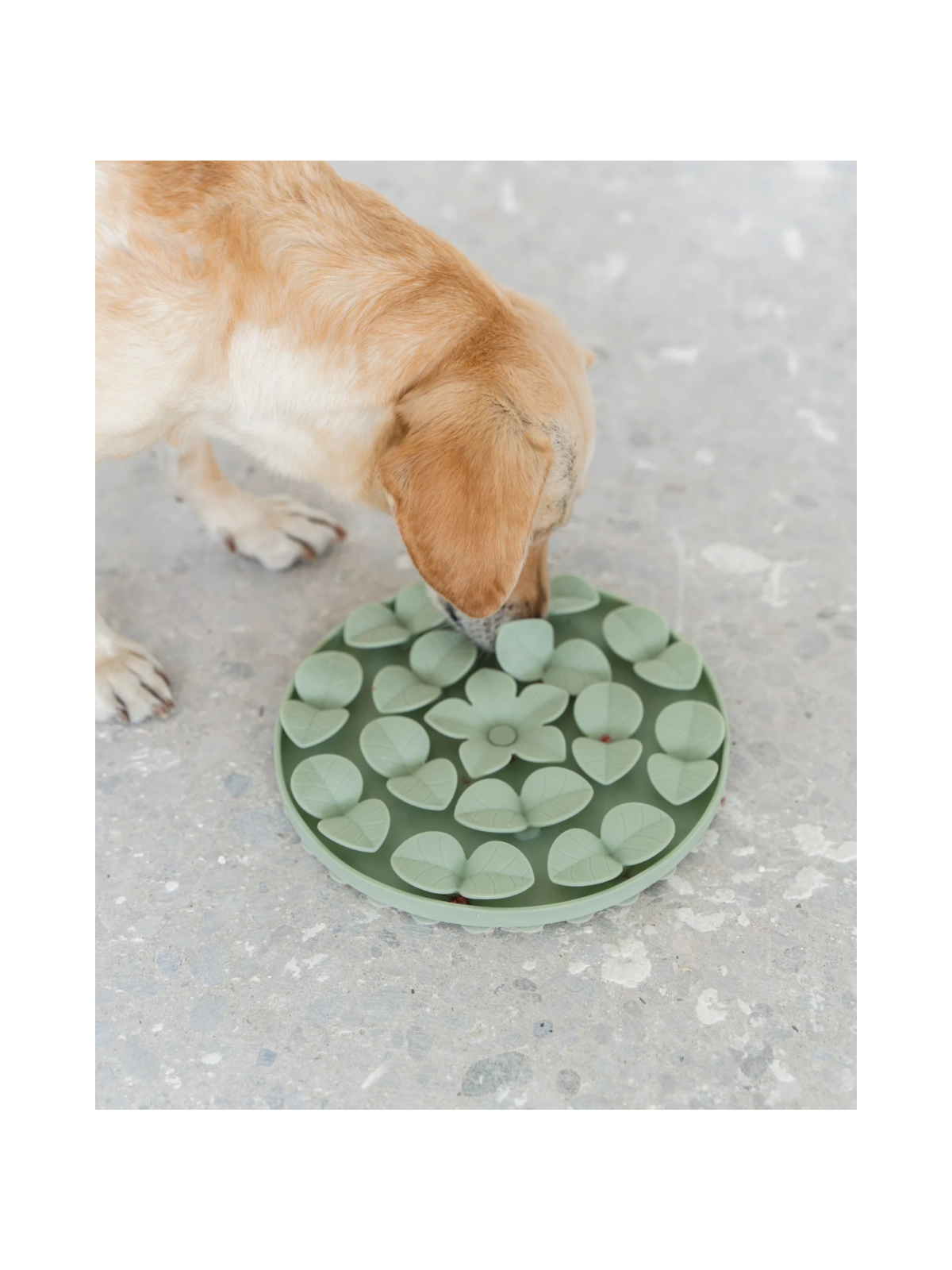 Circle Enrichment Snuffle Mat – Sage Green