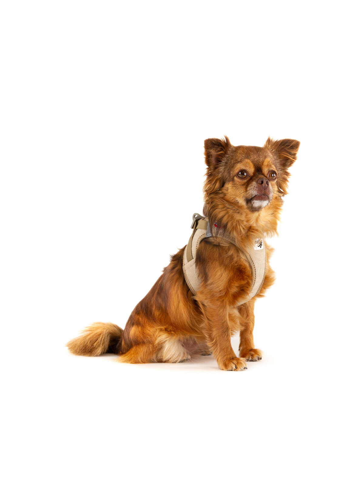 Cord Vest Harness – Tan