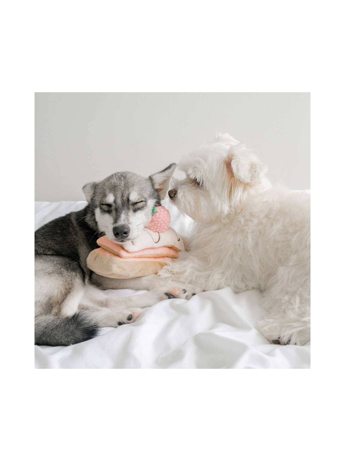 Strawberry Mille-Feuille Nosework Toy