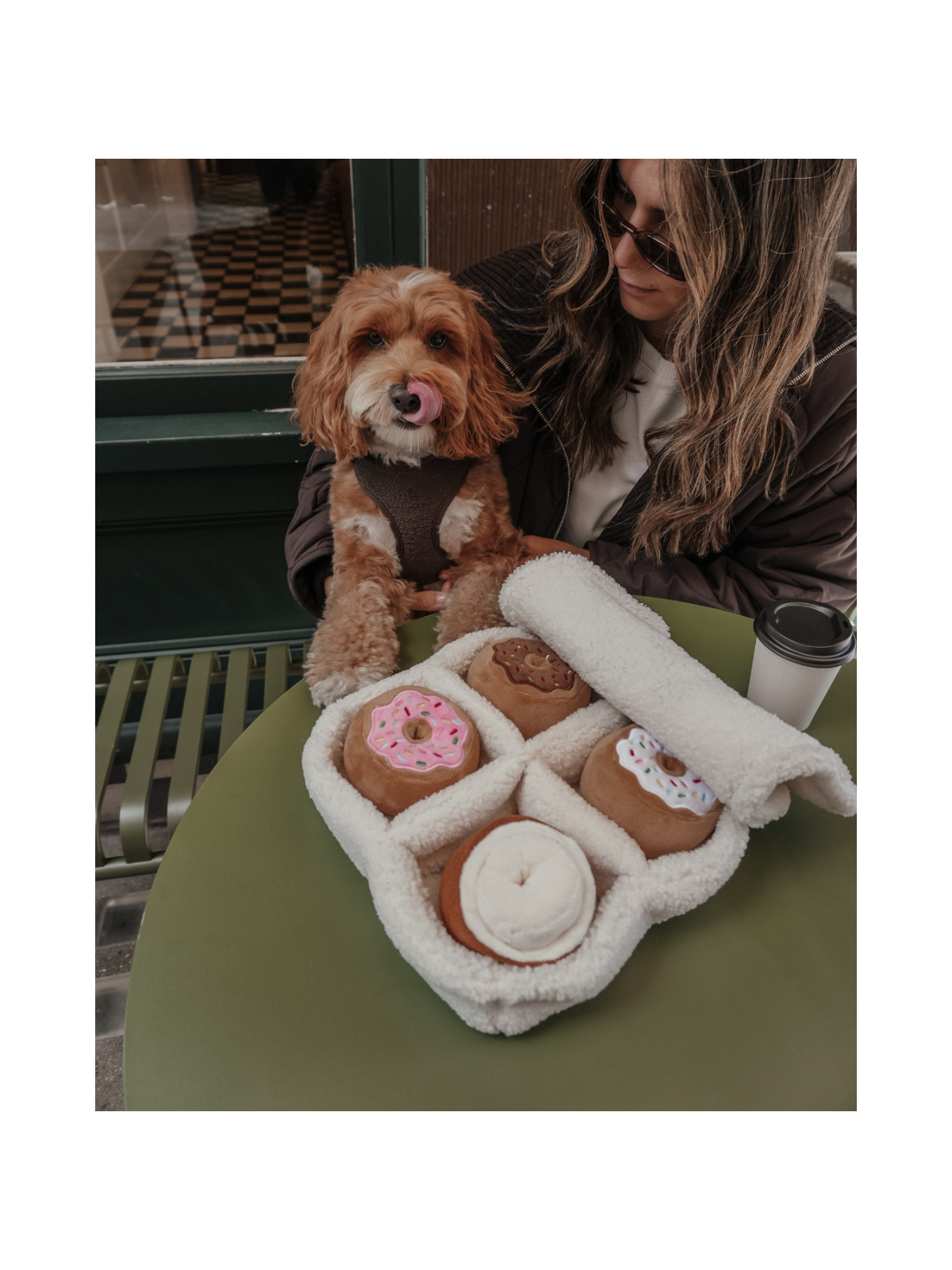 Donut Selection Box Interactive Dog Toy