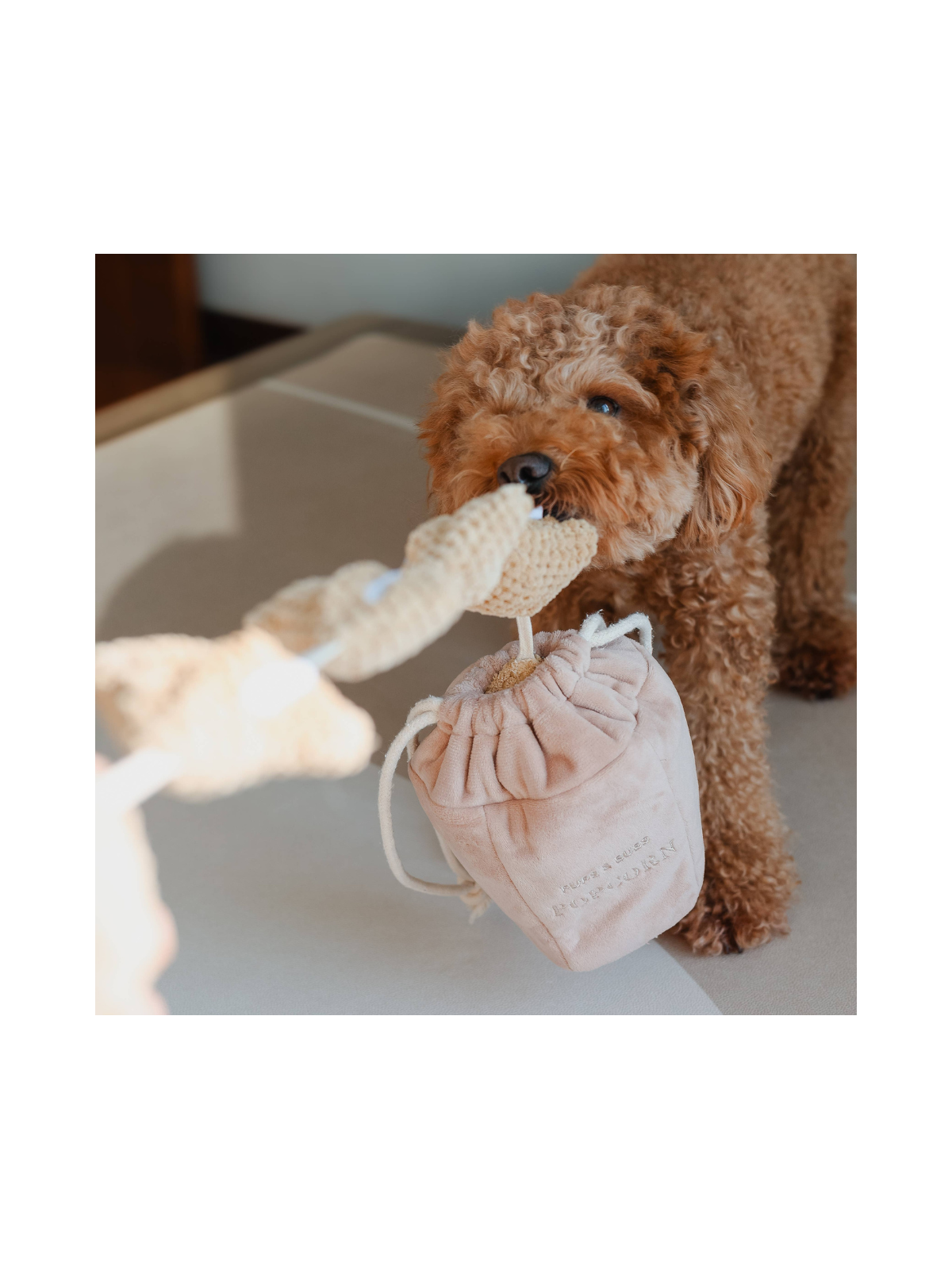 Popcorn Nosework Toy