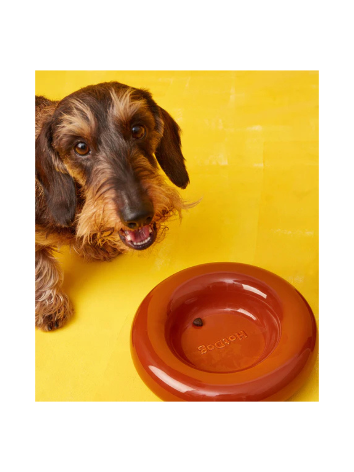 Ceramic Dog Bowl – Brown