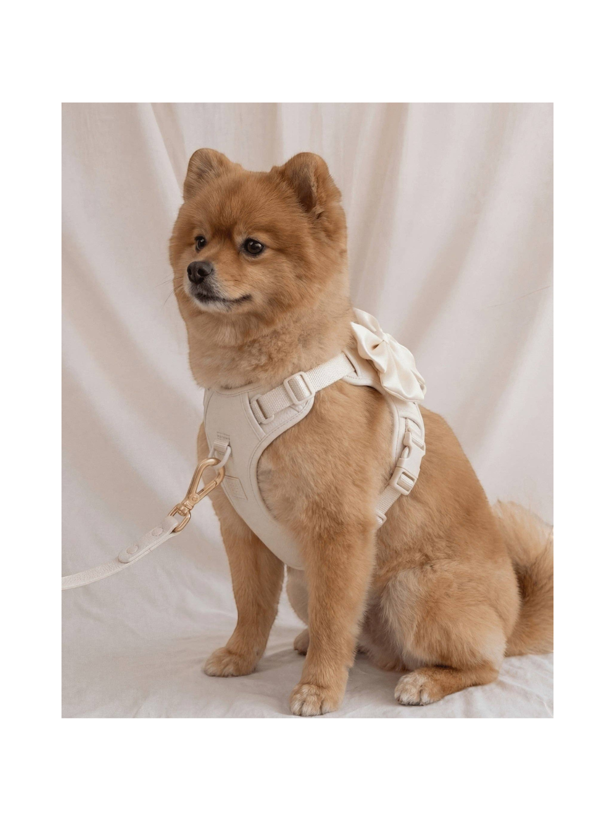 Wander! Bow Harness 2.0 – Pearl