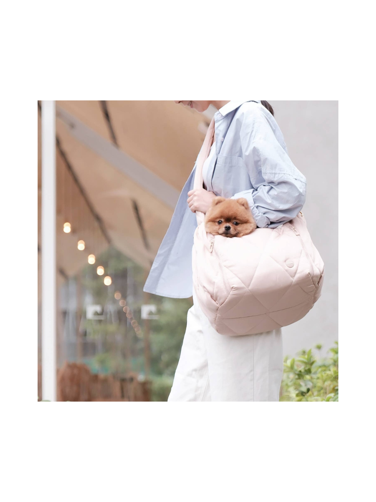 Cloud Crossbody Pet Carrier - Latte