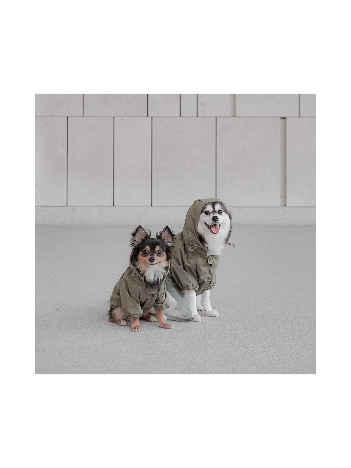 Brooklyn Dog Jacket – Fern