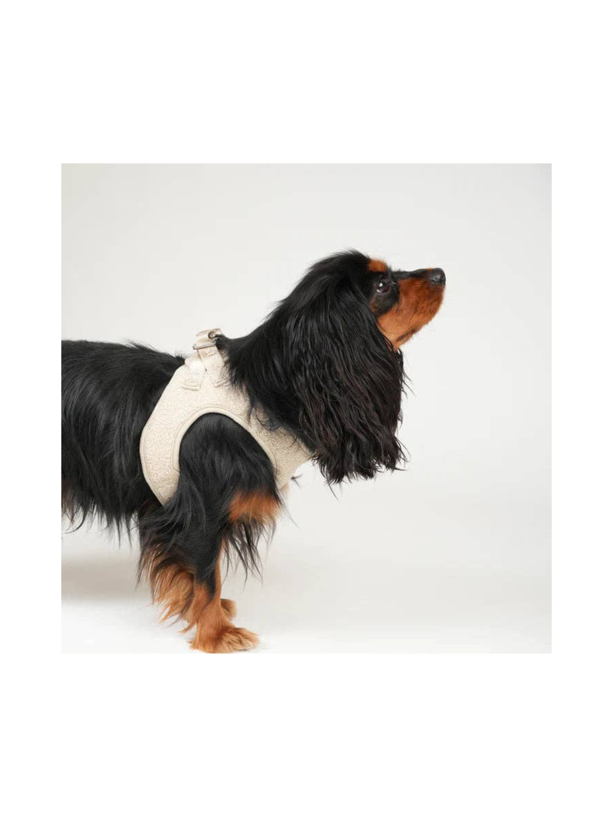 Teddy Step-In Harness – Nature