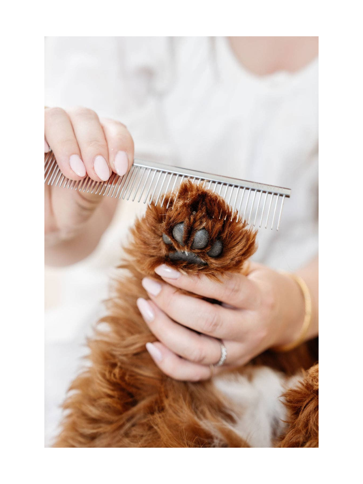 Everyday Comb