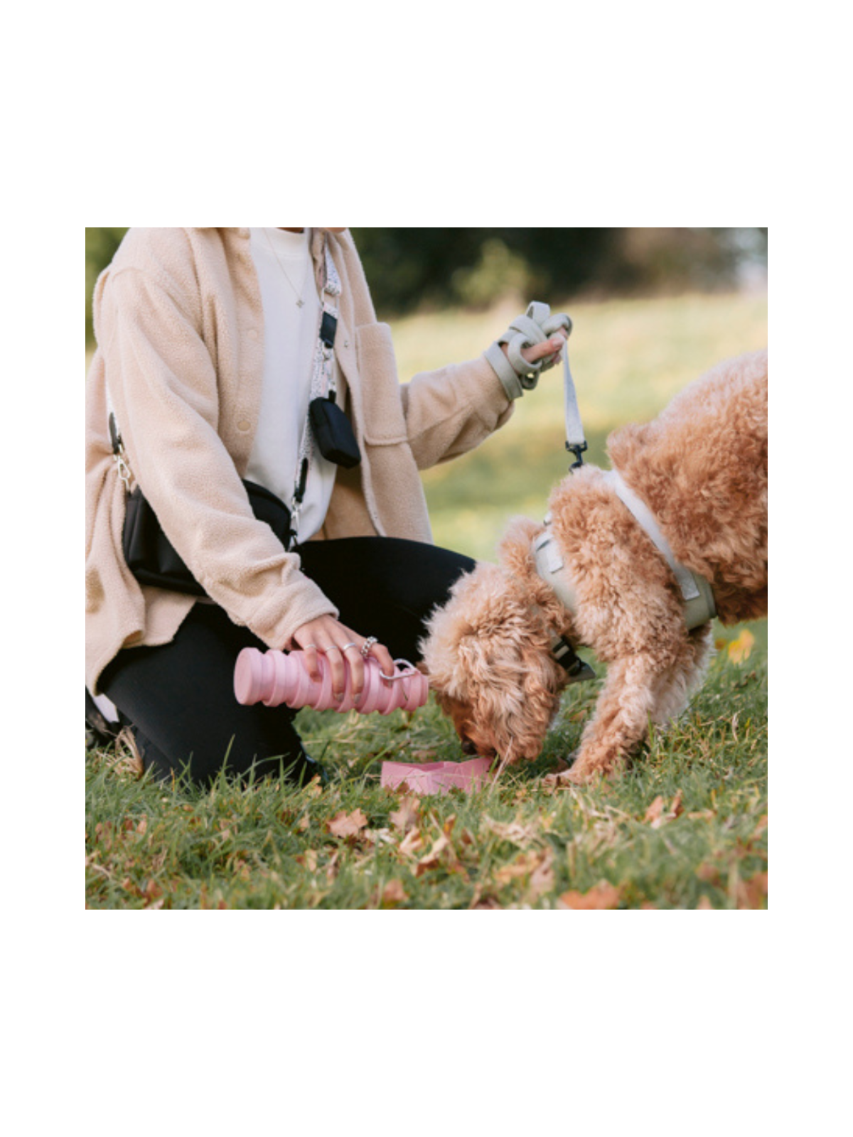 Foldable Travel Bowl - Pink