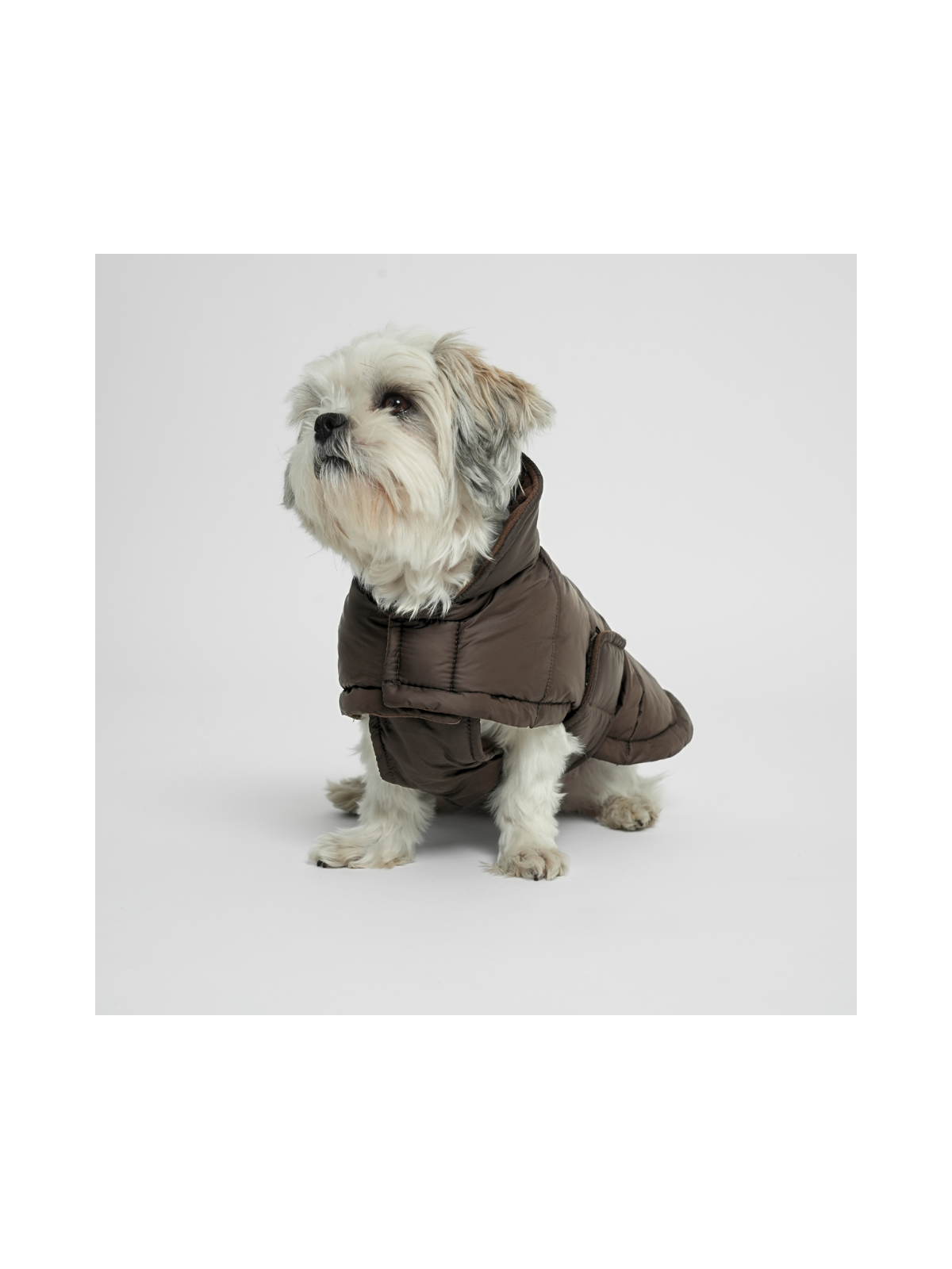 Nora Dog Coat – Espresso
