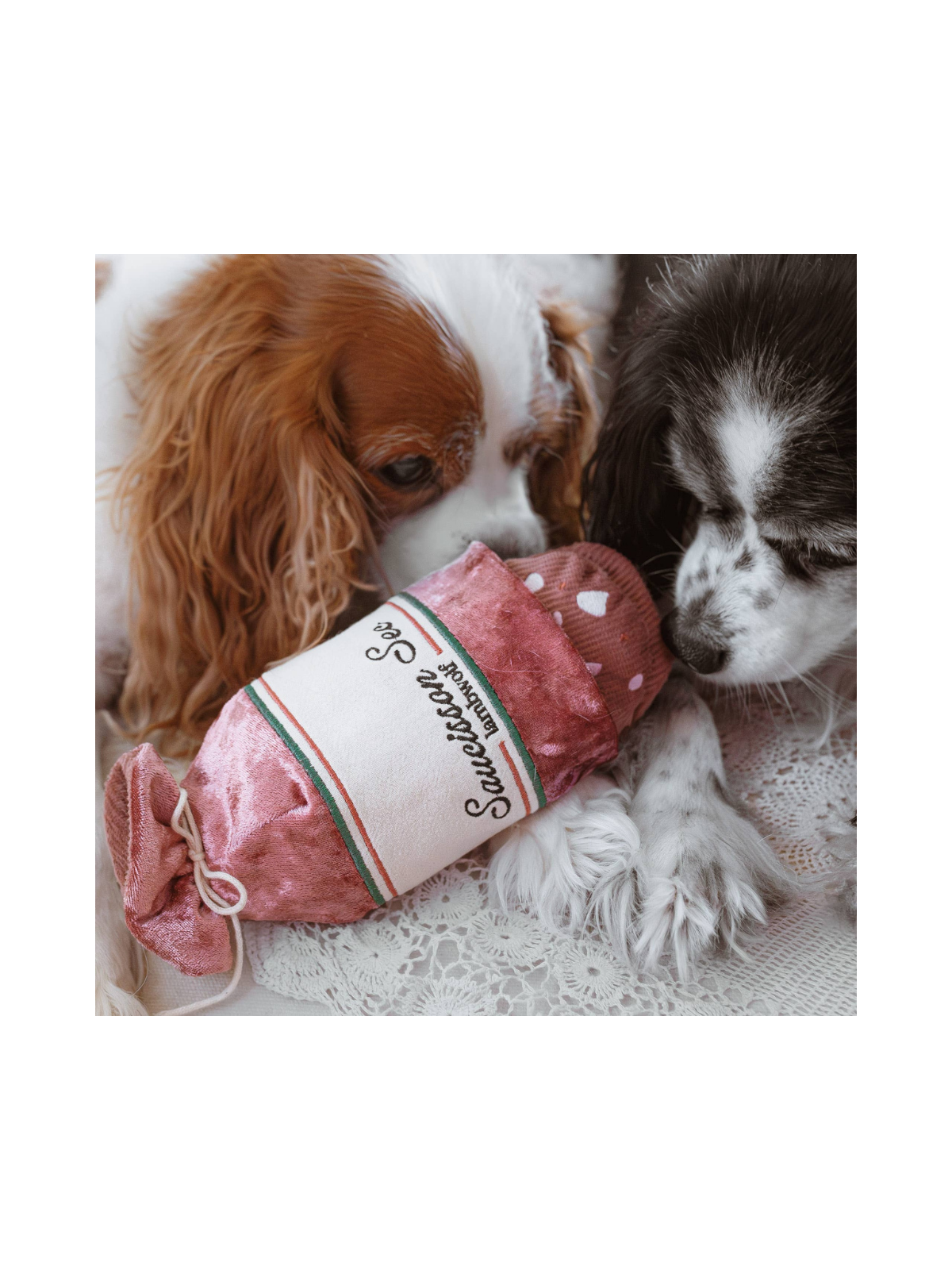 Saucisson Sec Enrichment Dog Toy