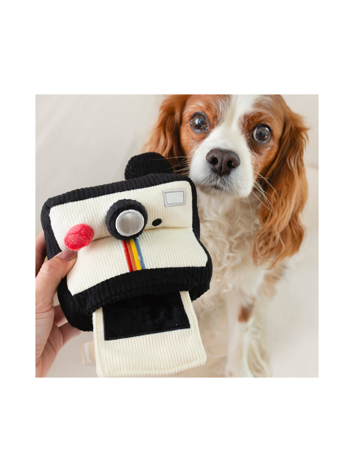 Instant Camera Snuffle Toy