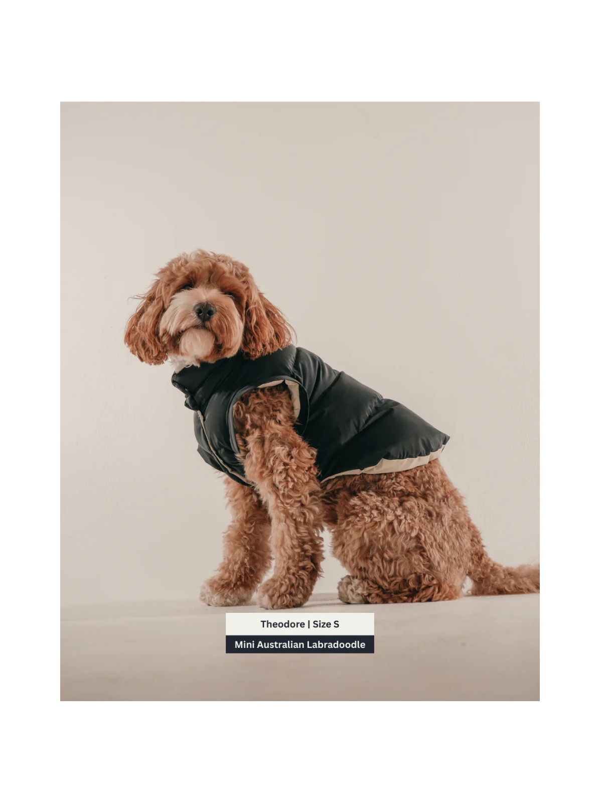 The Modular Puffer – Midnight