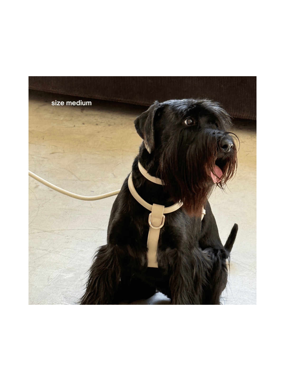 Harness – Cream