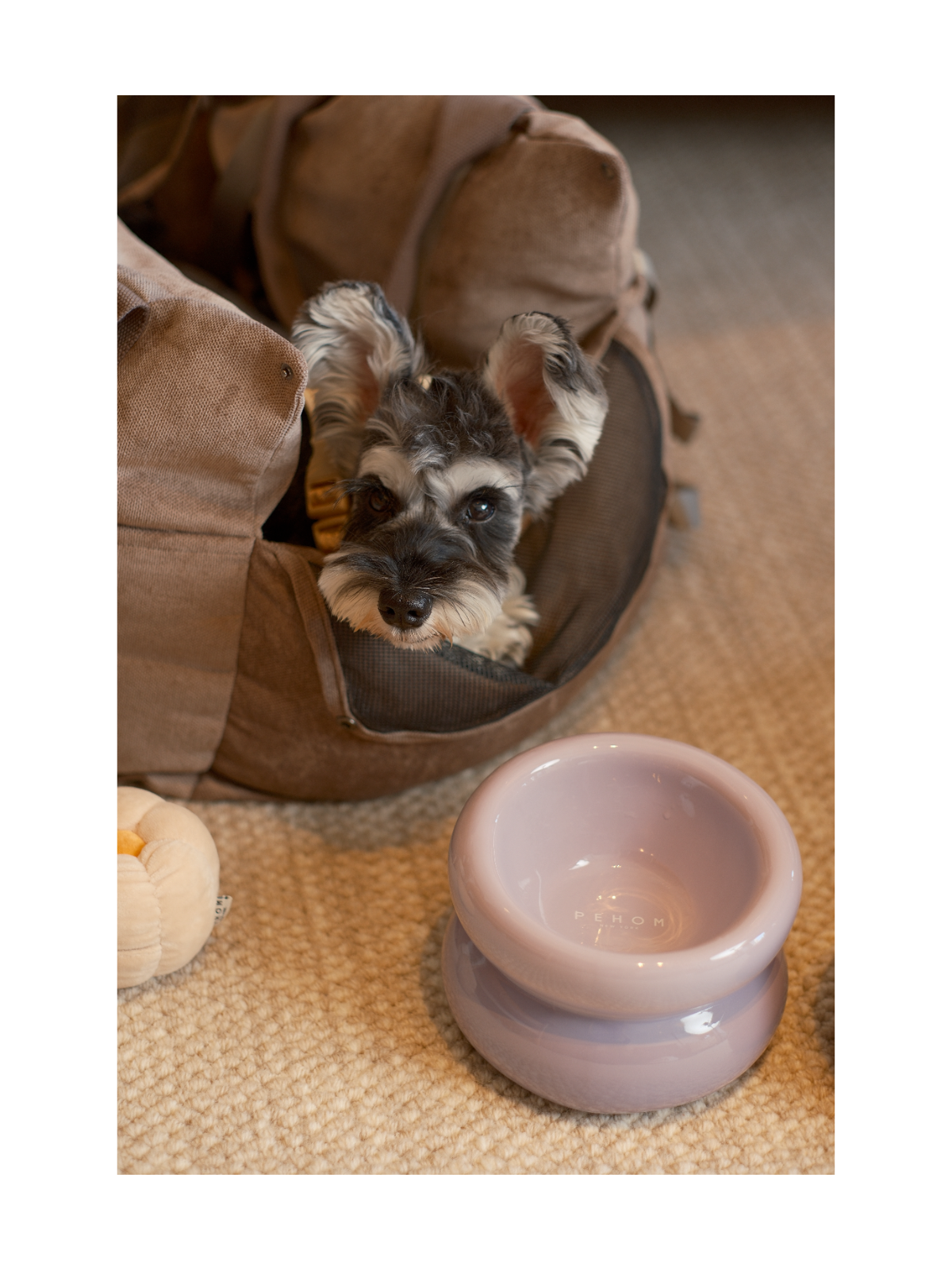 Soufflé Pet Bowl - Purple