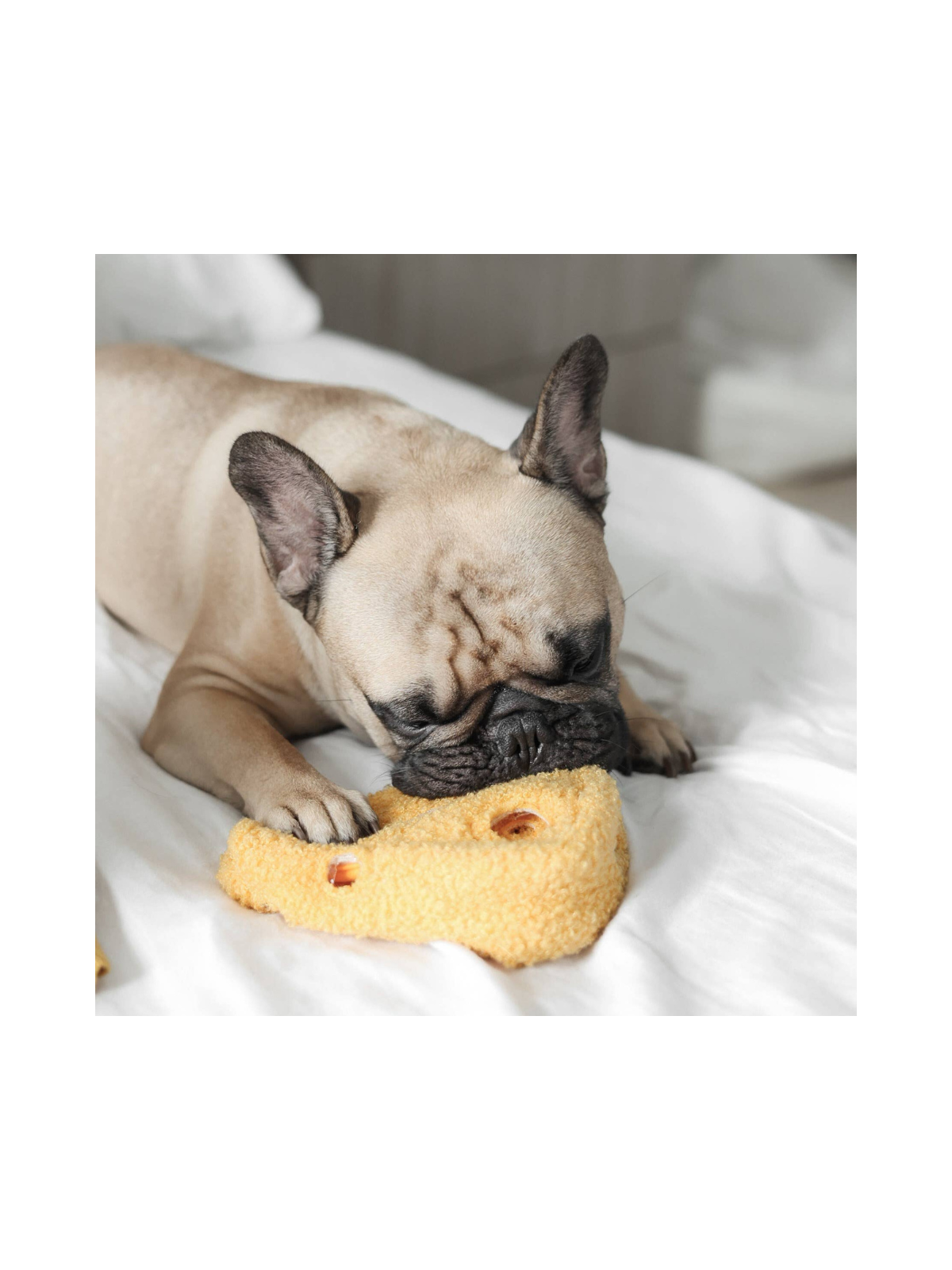 Fromage Enrichment Toy