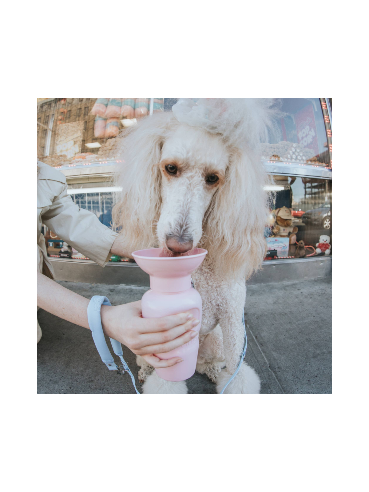 Travel Water Bottle – Cotton Candy (650ml)