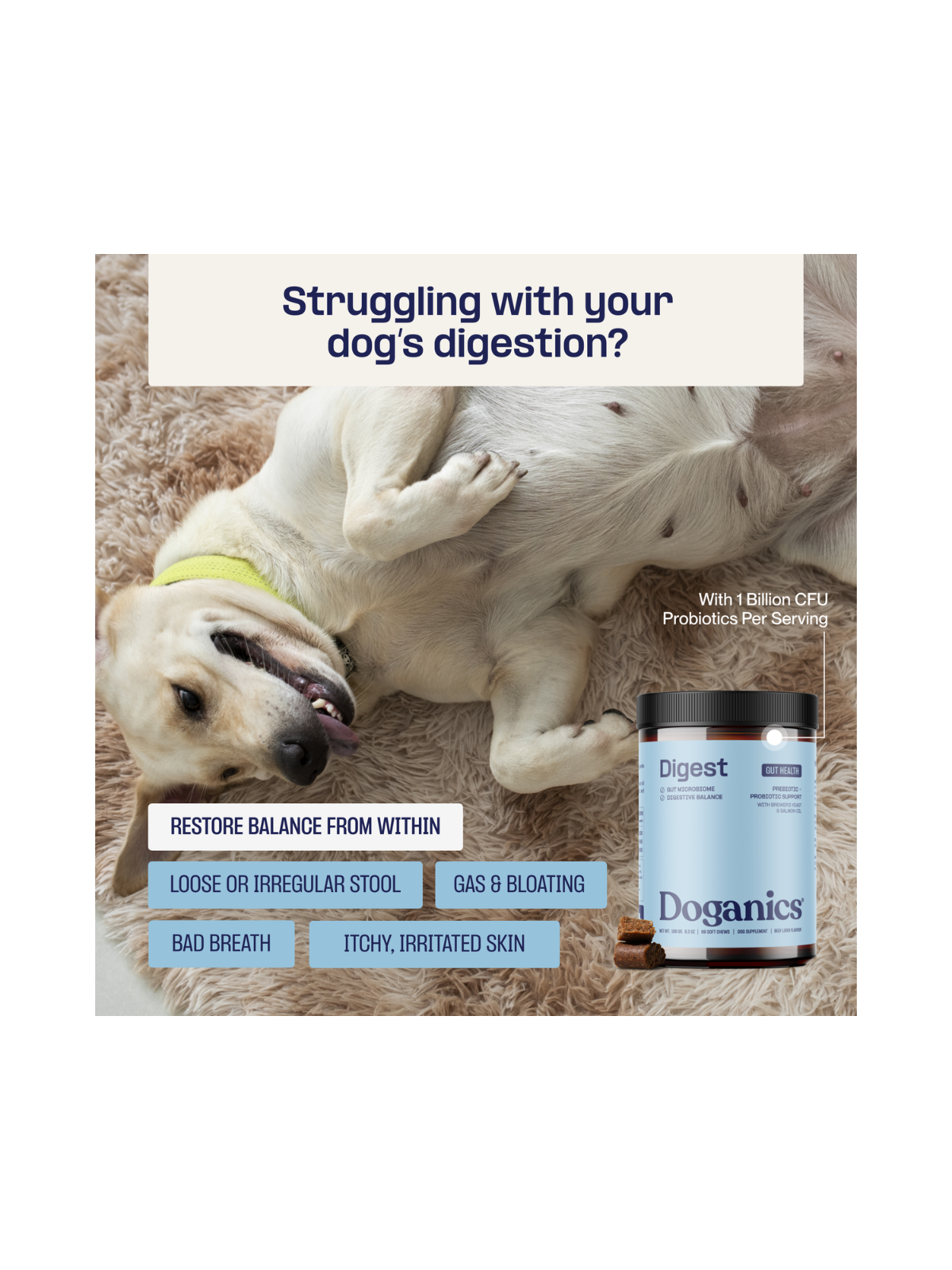 Digest Probiotic Gut Soft Chews