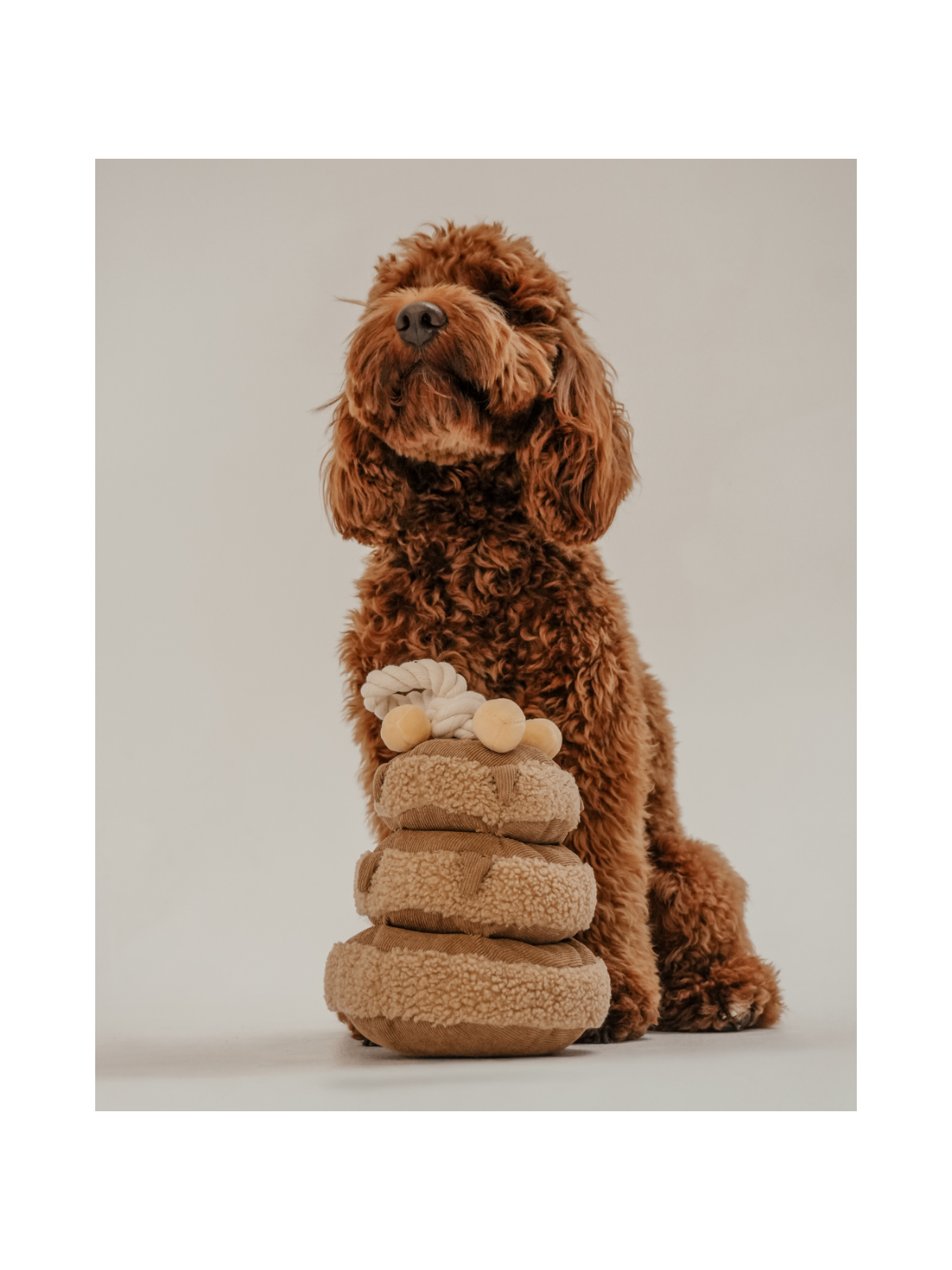 Maple Pancake Stack Interactive Dog Toy
