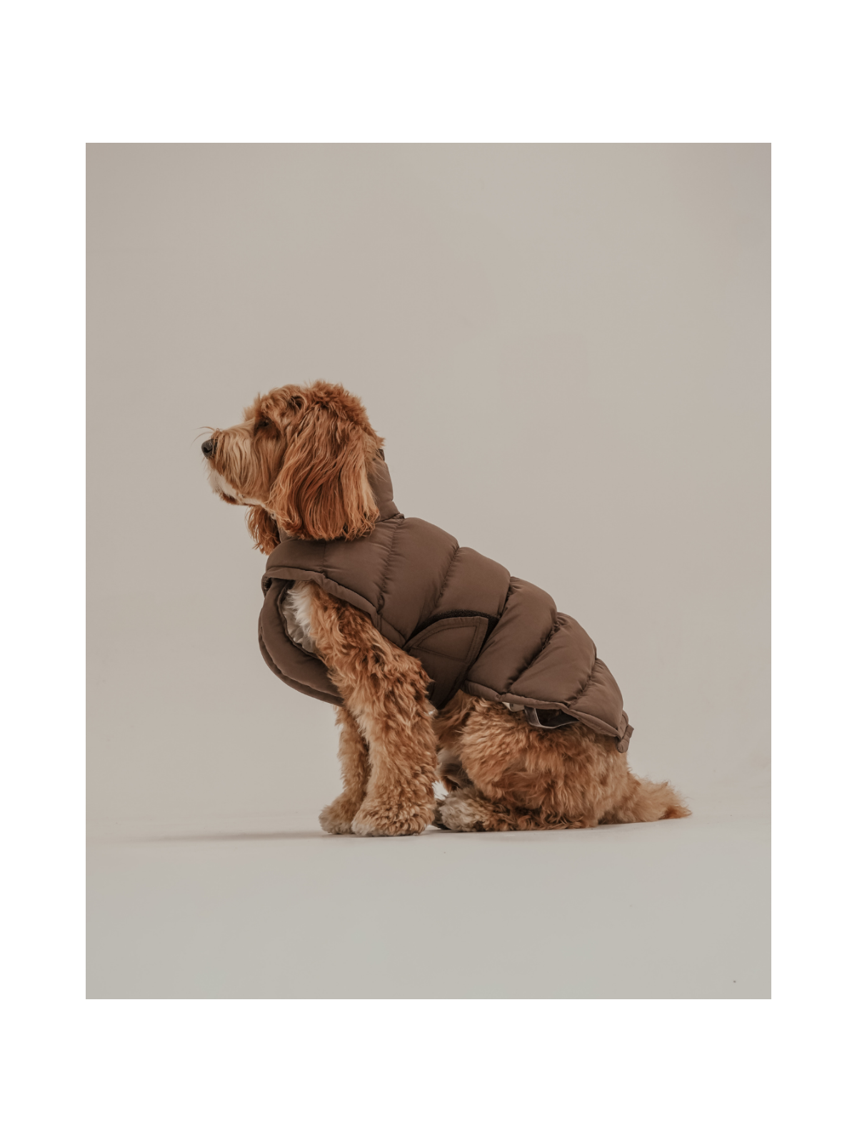 The Capsule Puffer Dog Coat – Chocolate