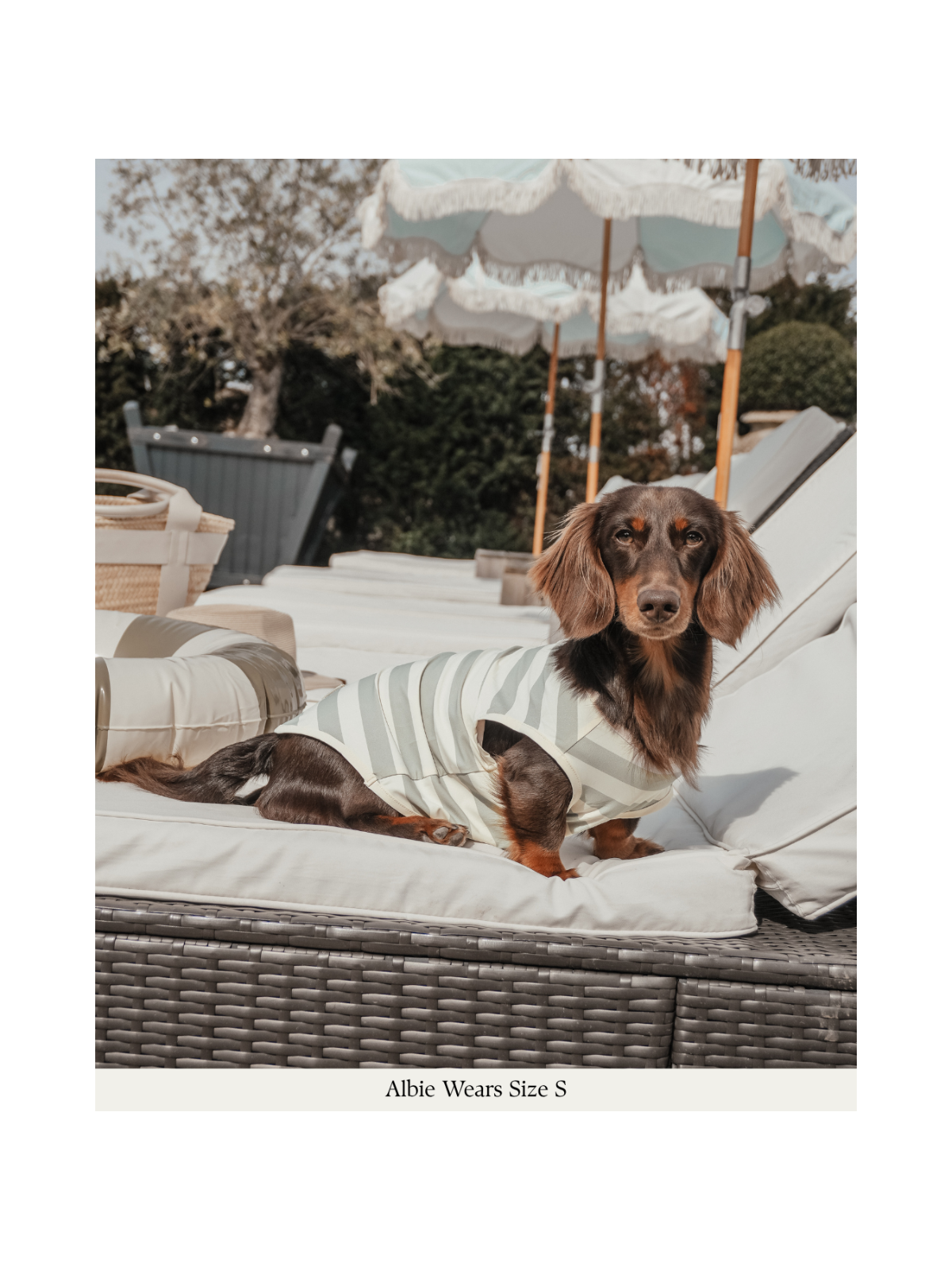 Summer Breeze Cooling Vest – Matcha