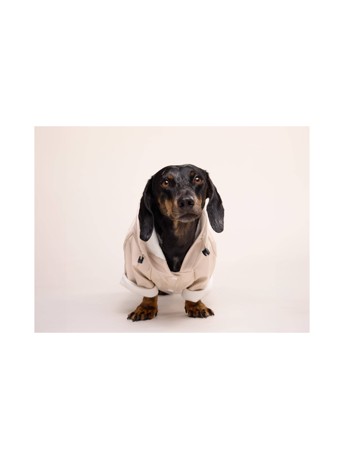 Cream Dog Raincoat