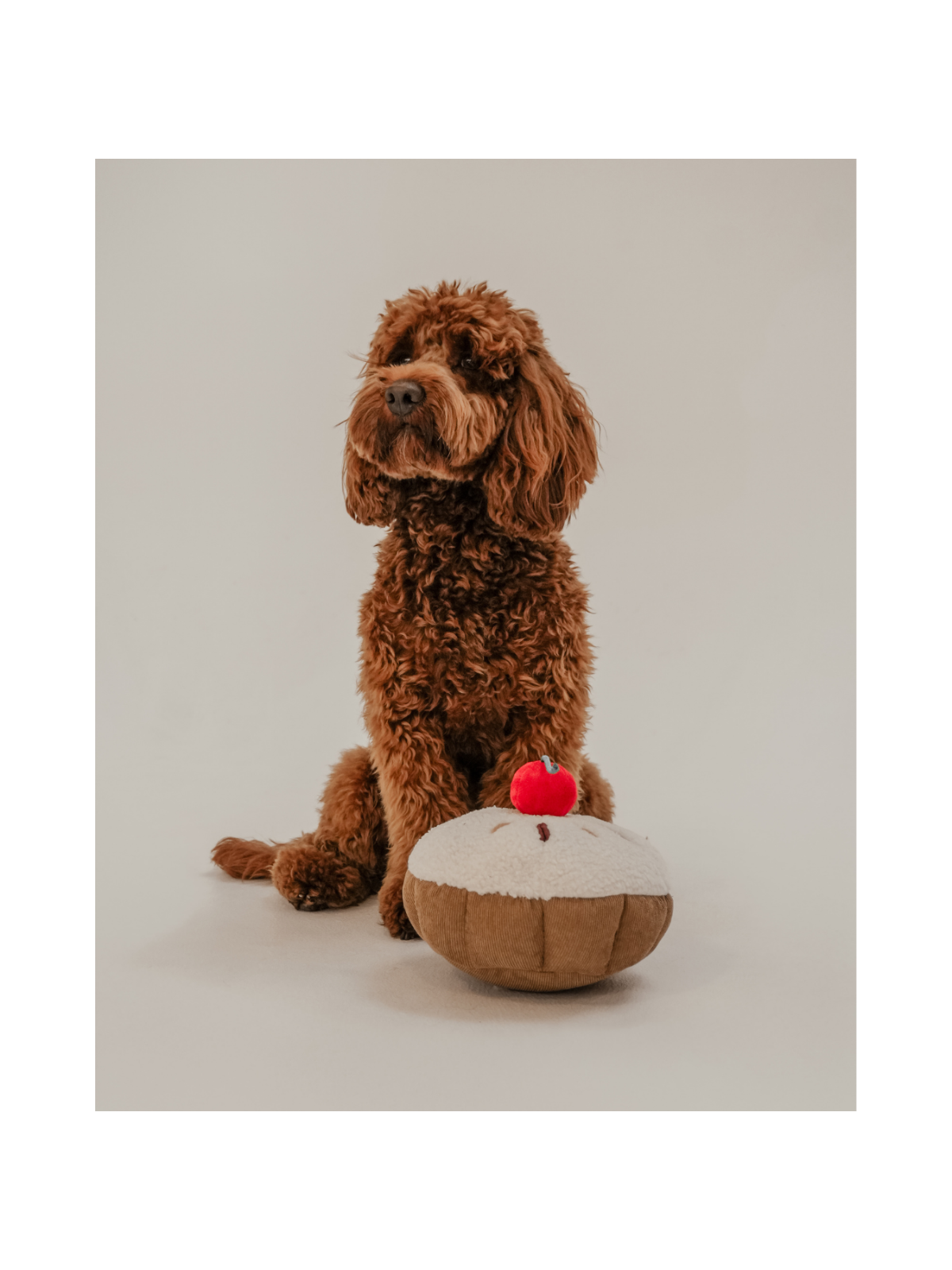Cherry Bakewell Tart Interactive Dog Toy