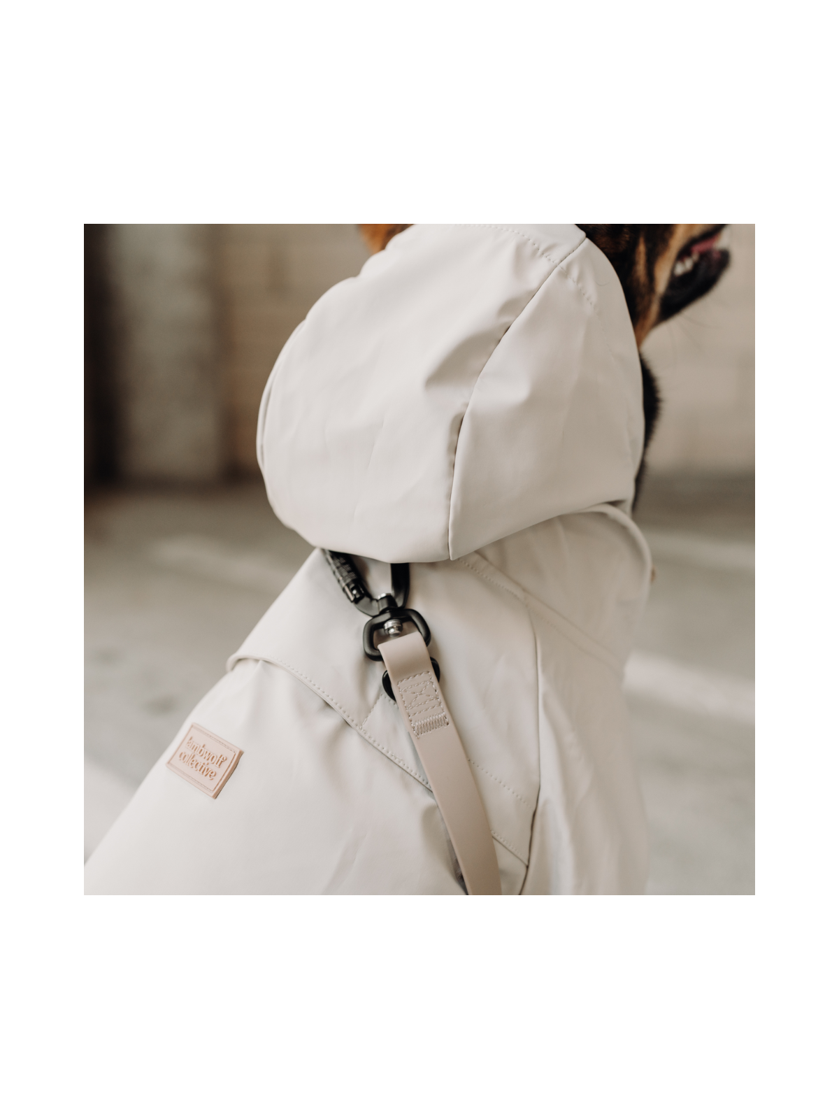 Brighton Packable Dog Rain Coat