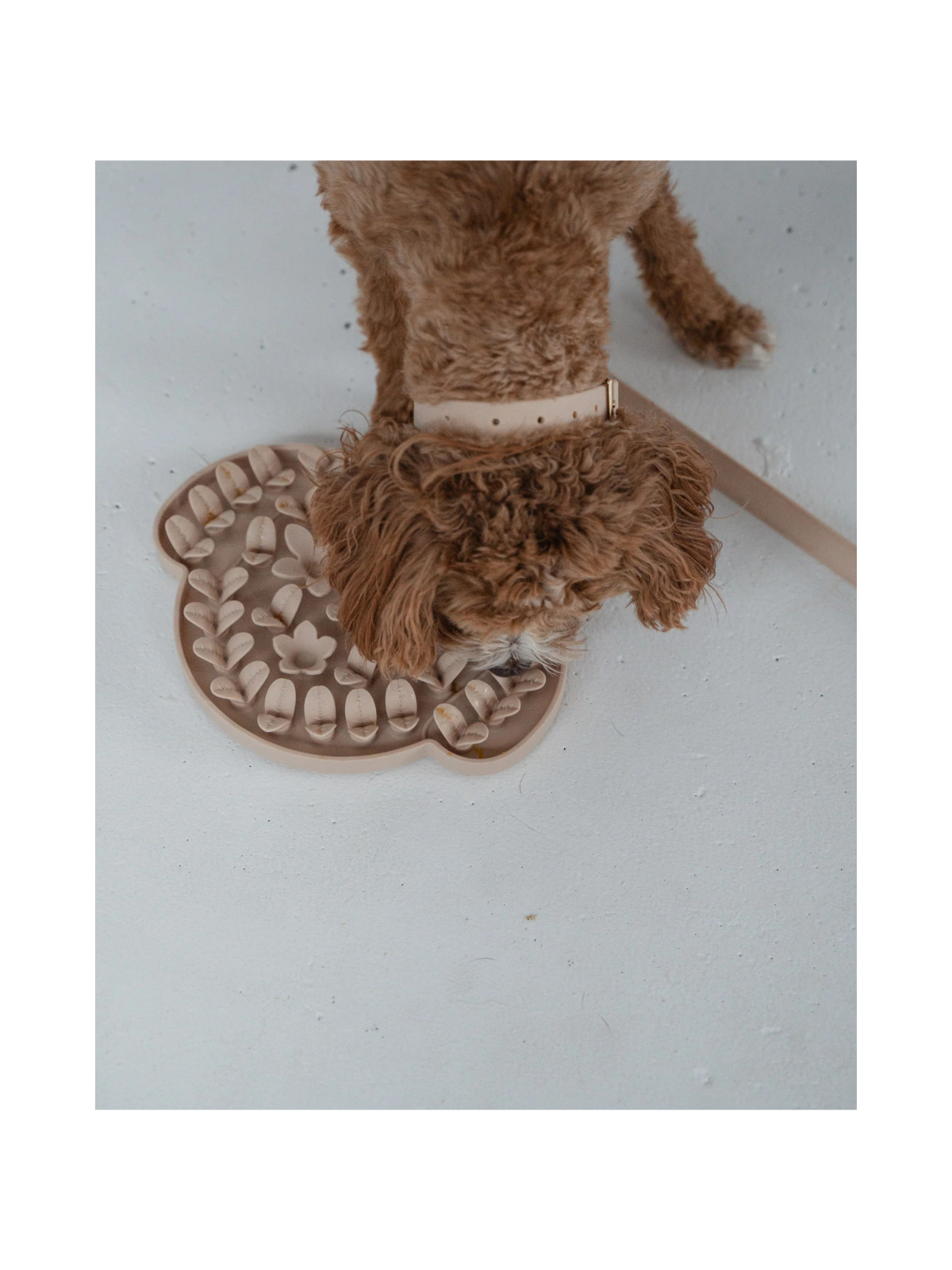 Dog Head Enrichment Snuffle Mat – Nude