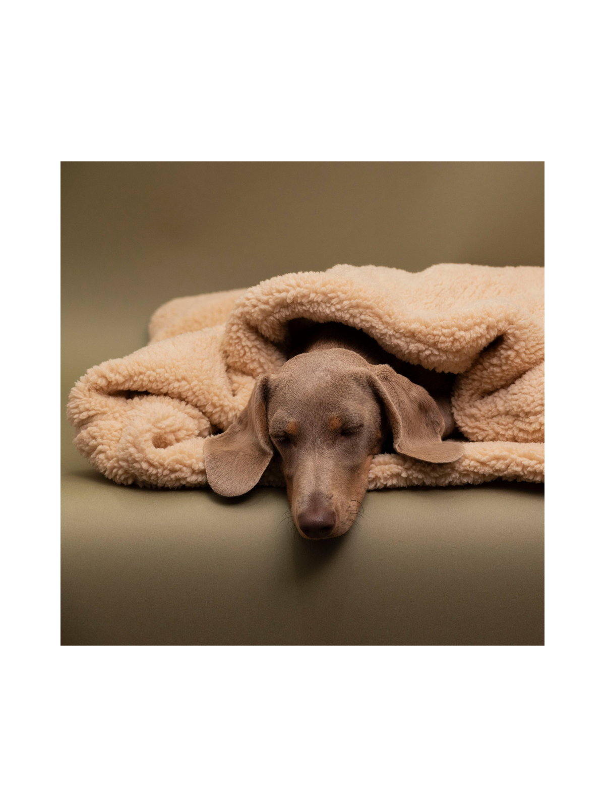 Teddy Cuddle Sleeping Bag – Beige