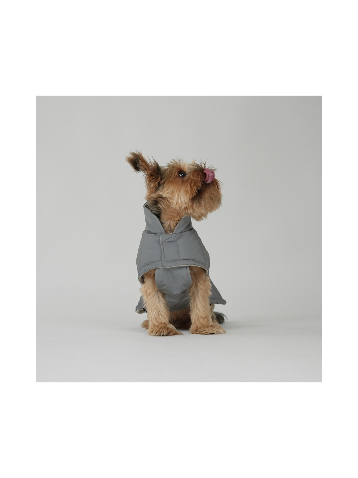 Nora Dog Coat – Reflective