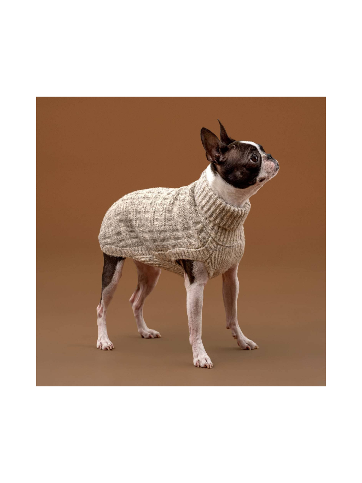Basket Knit Dog Sweater – Ivory Heather