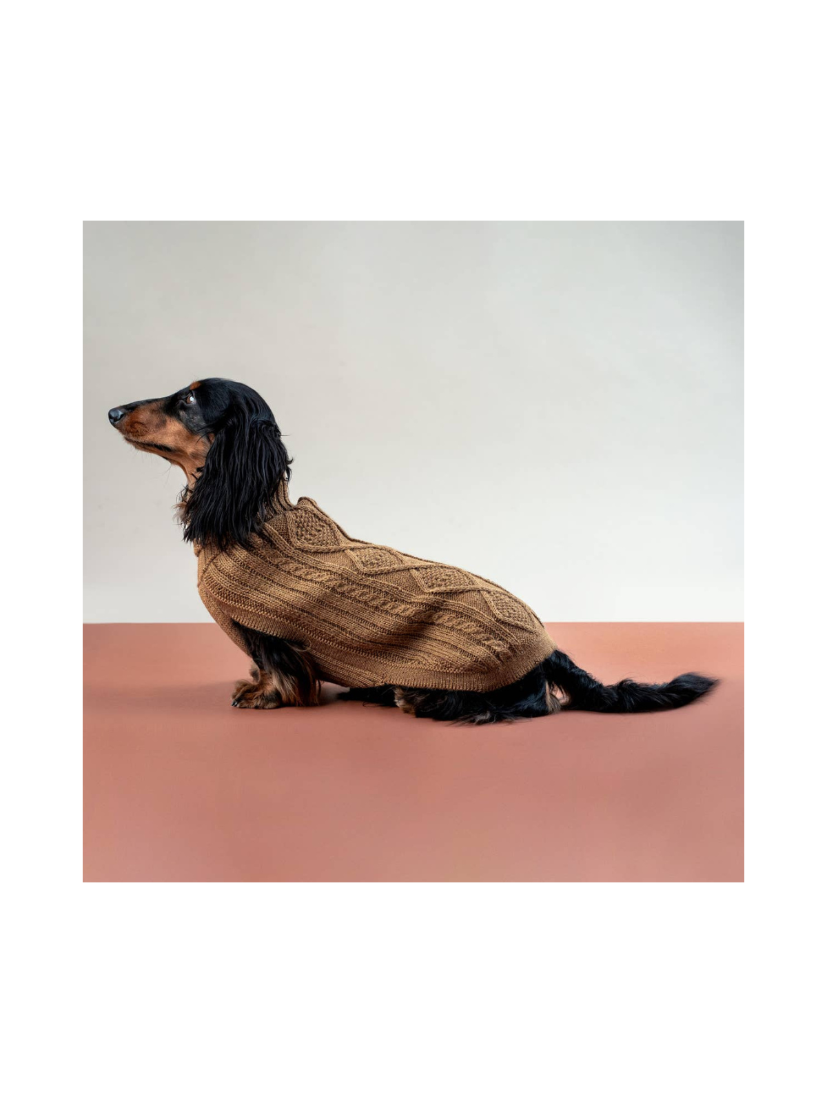 Aran Alpaca Dog Sweater – Camel