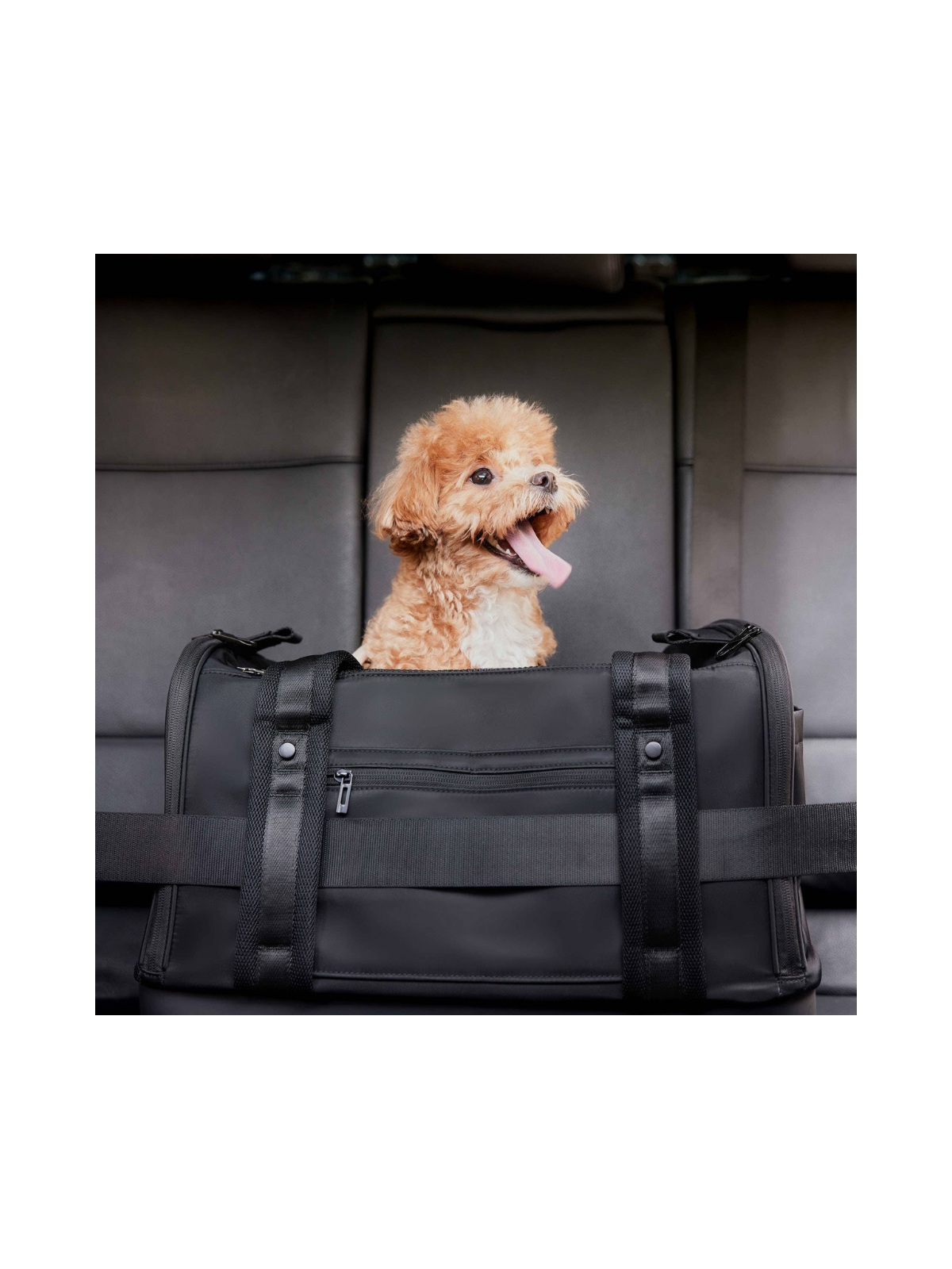 Onboard Travel Pet Carrier
