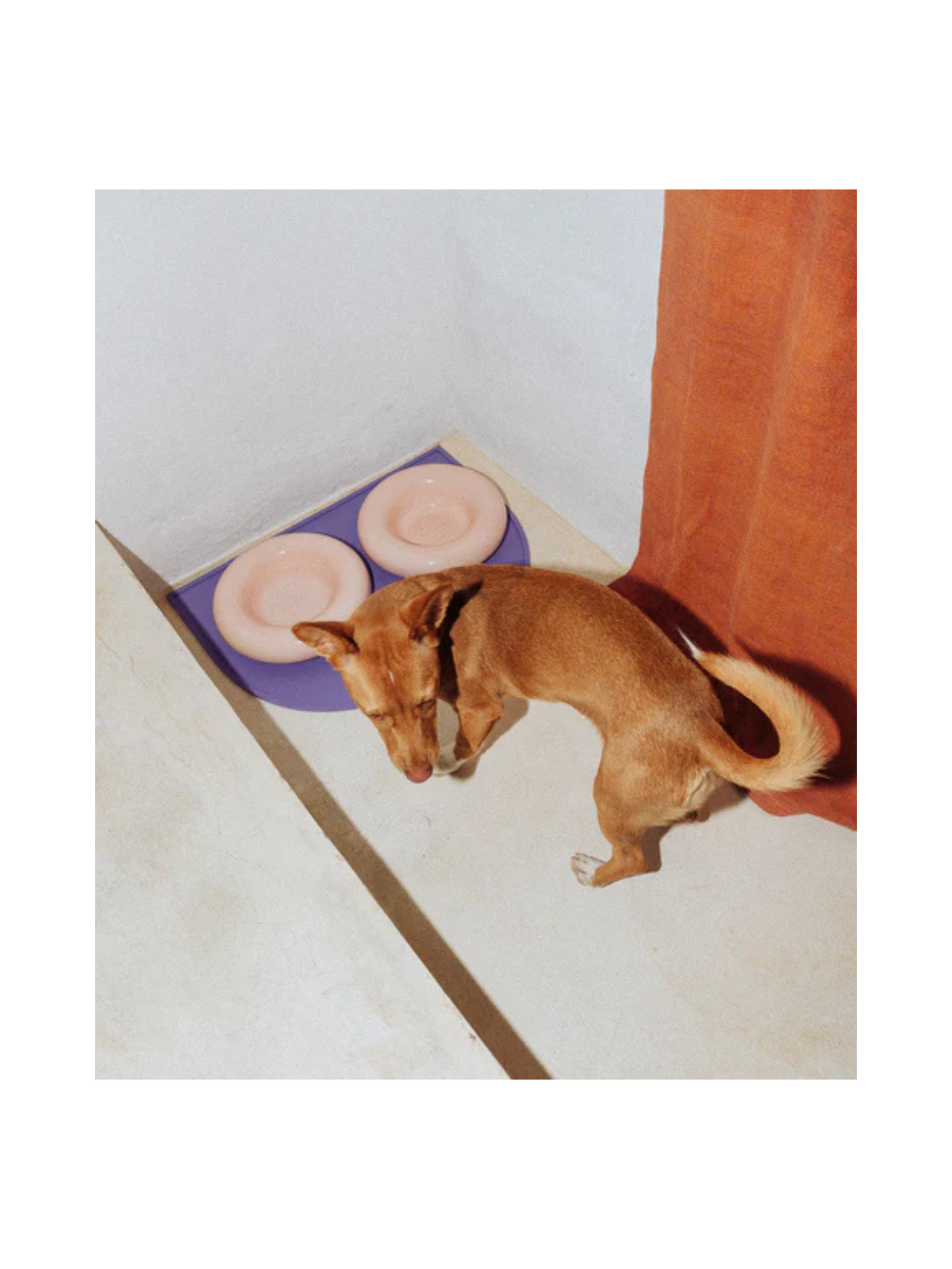 Ceramic Dog Bowl – Pink